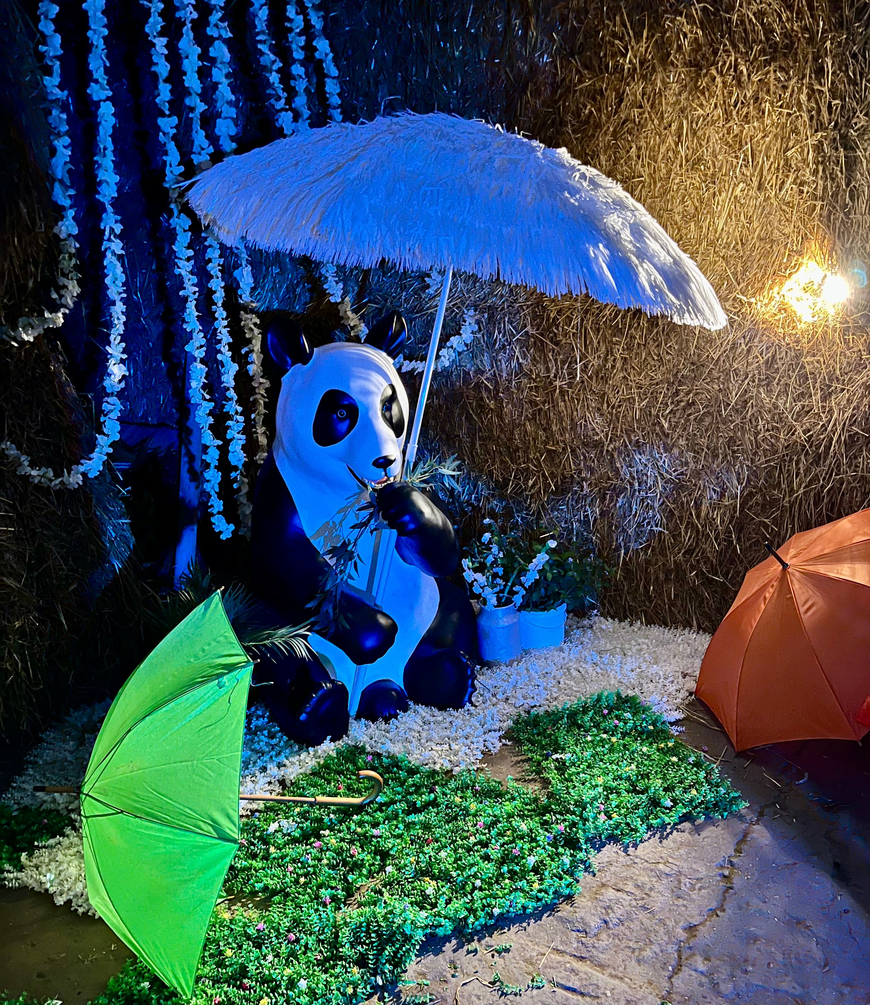 Panda Loomade Võlumaal