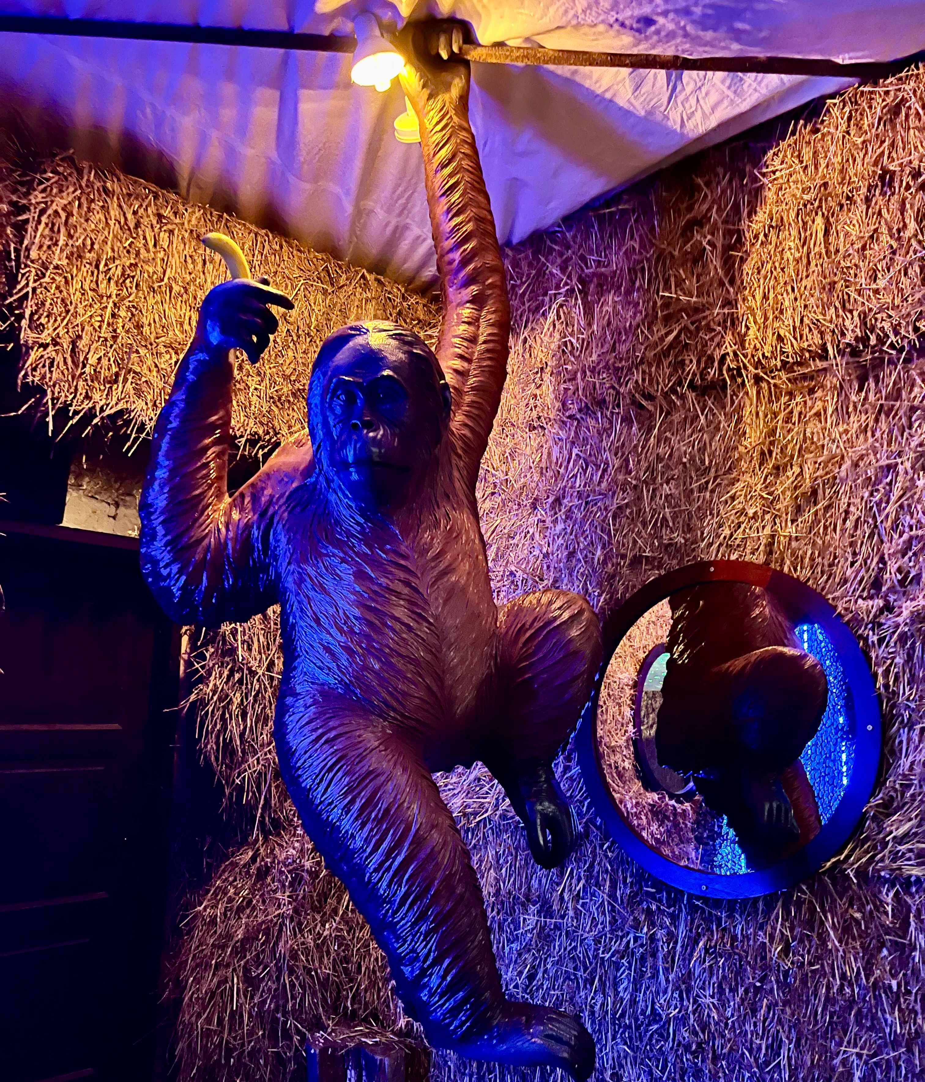Gorilla Loomade Võlumaal