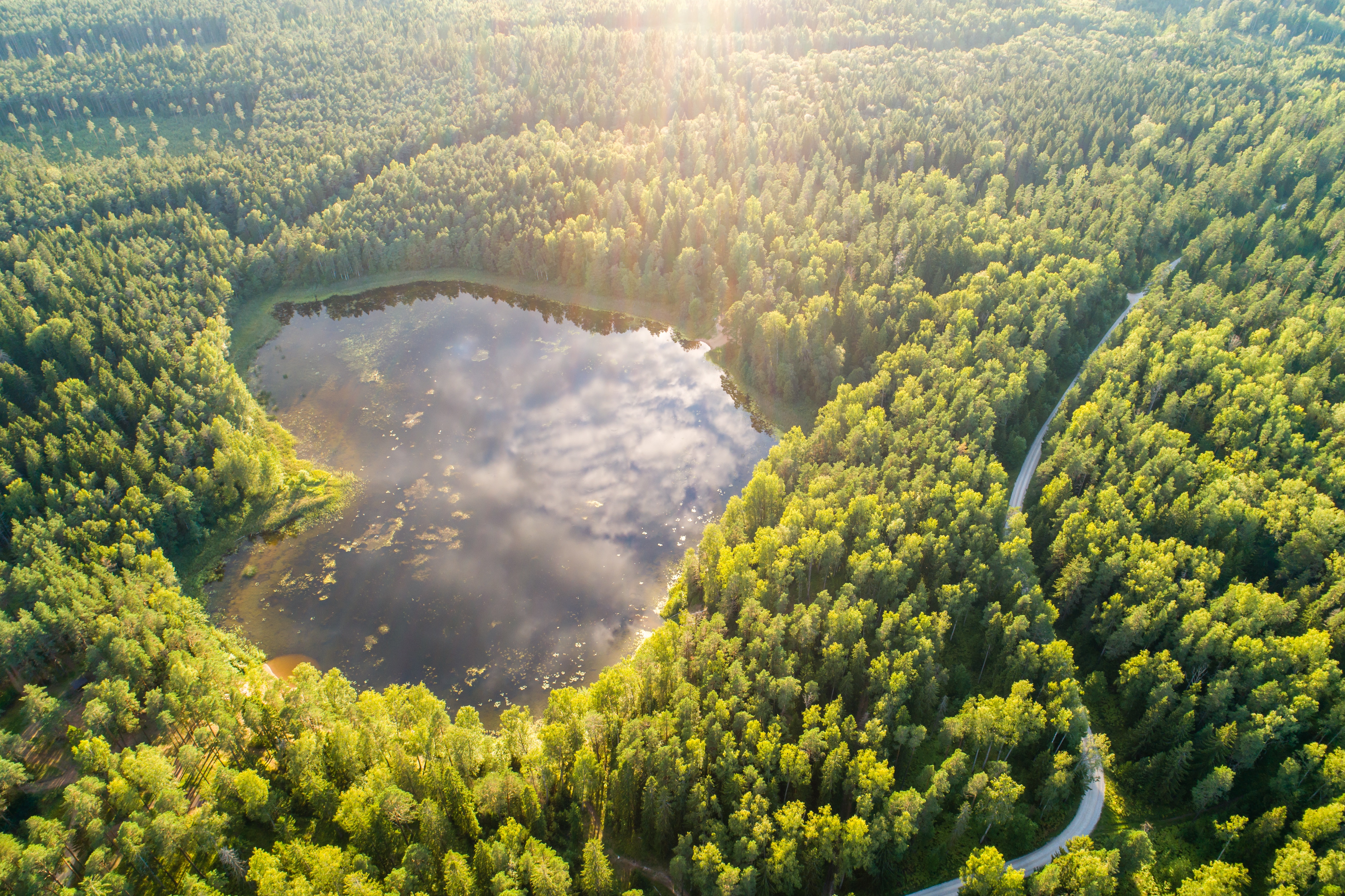 Kurtnan järvistön "sydänjärvi" Alutagusen kansallispuistossa