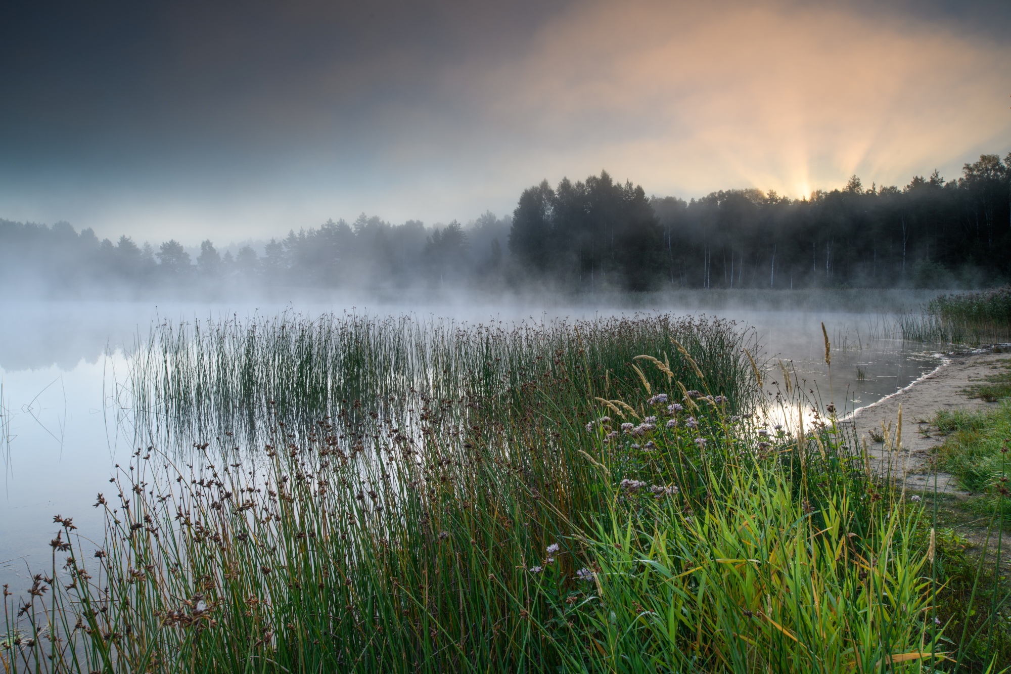 Morgen bei den Seen von Kurtna im Nationalpark Alutaguse