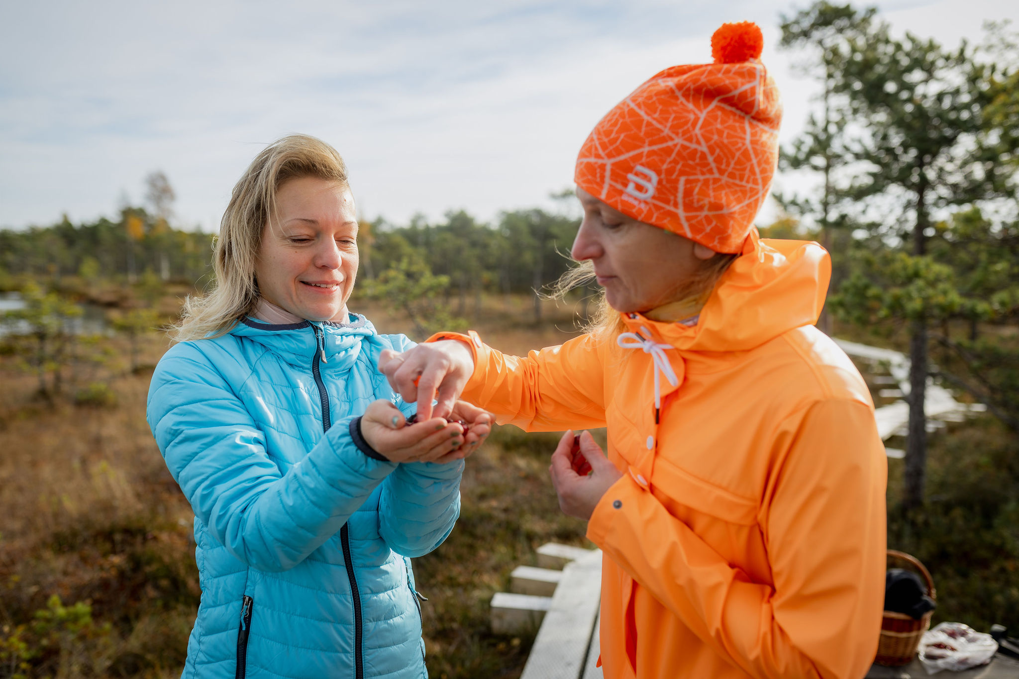 Hikers in autumn in Alutaguse National Park