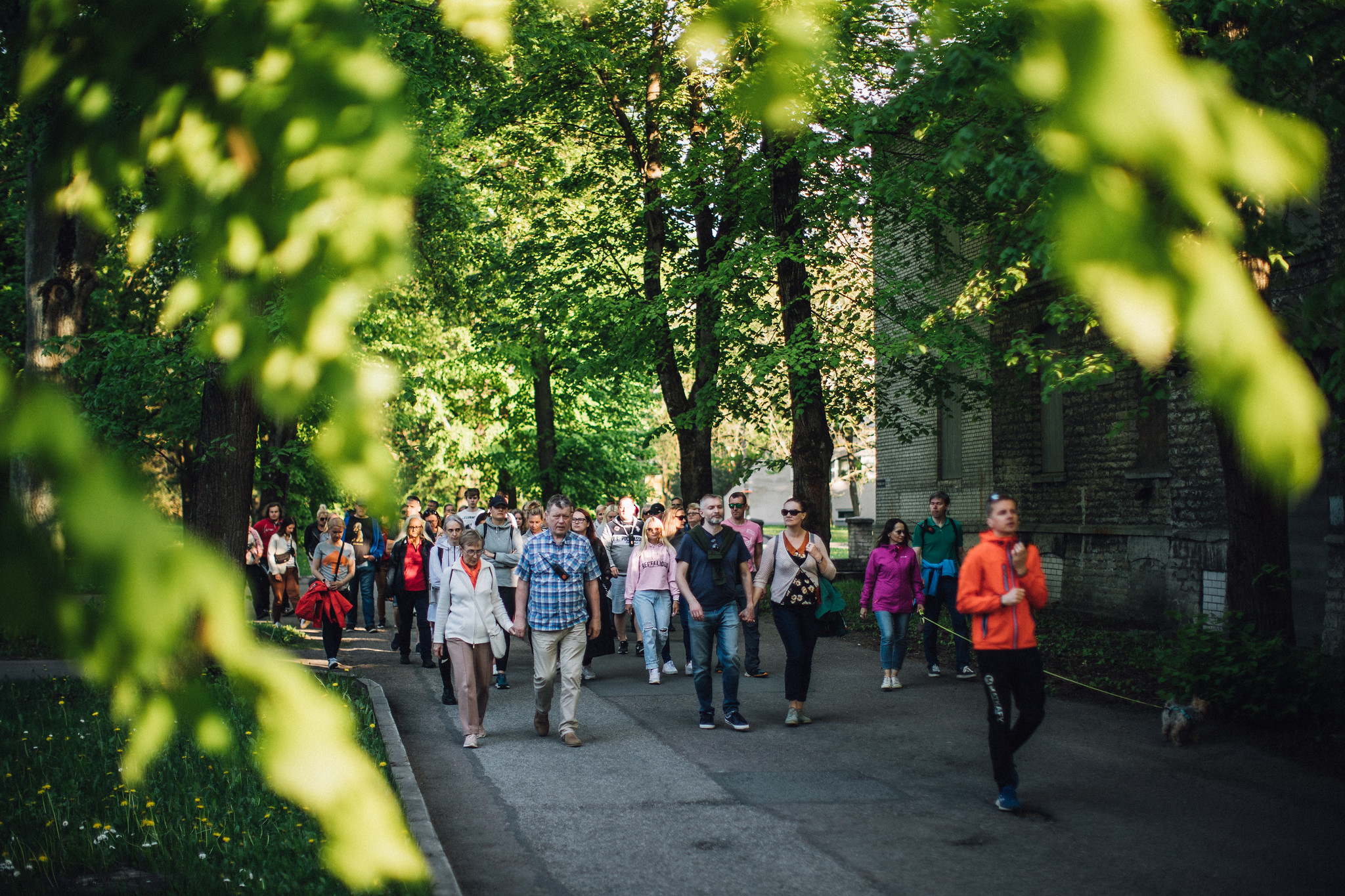 Suvine ekskursioon giidiga Seewaldi psühhiaatriahaiglasse