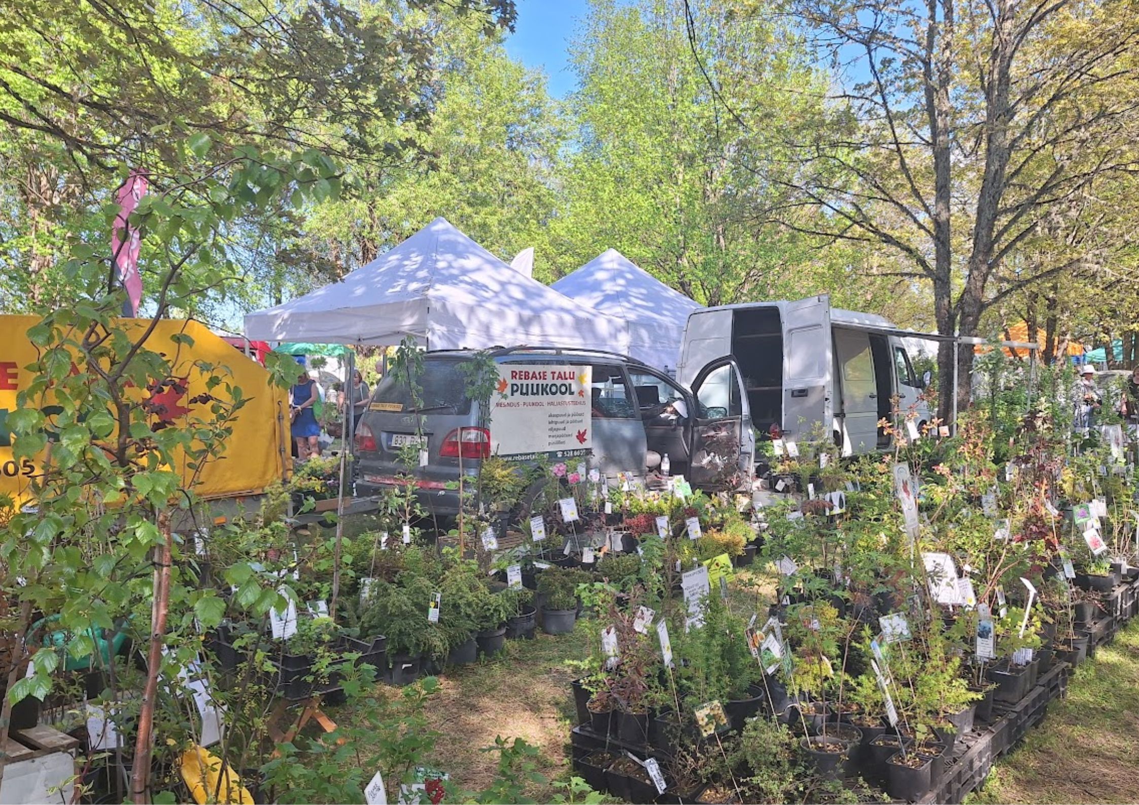 Türi Flower Fair