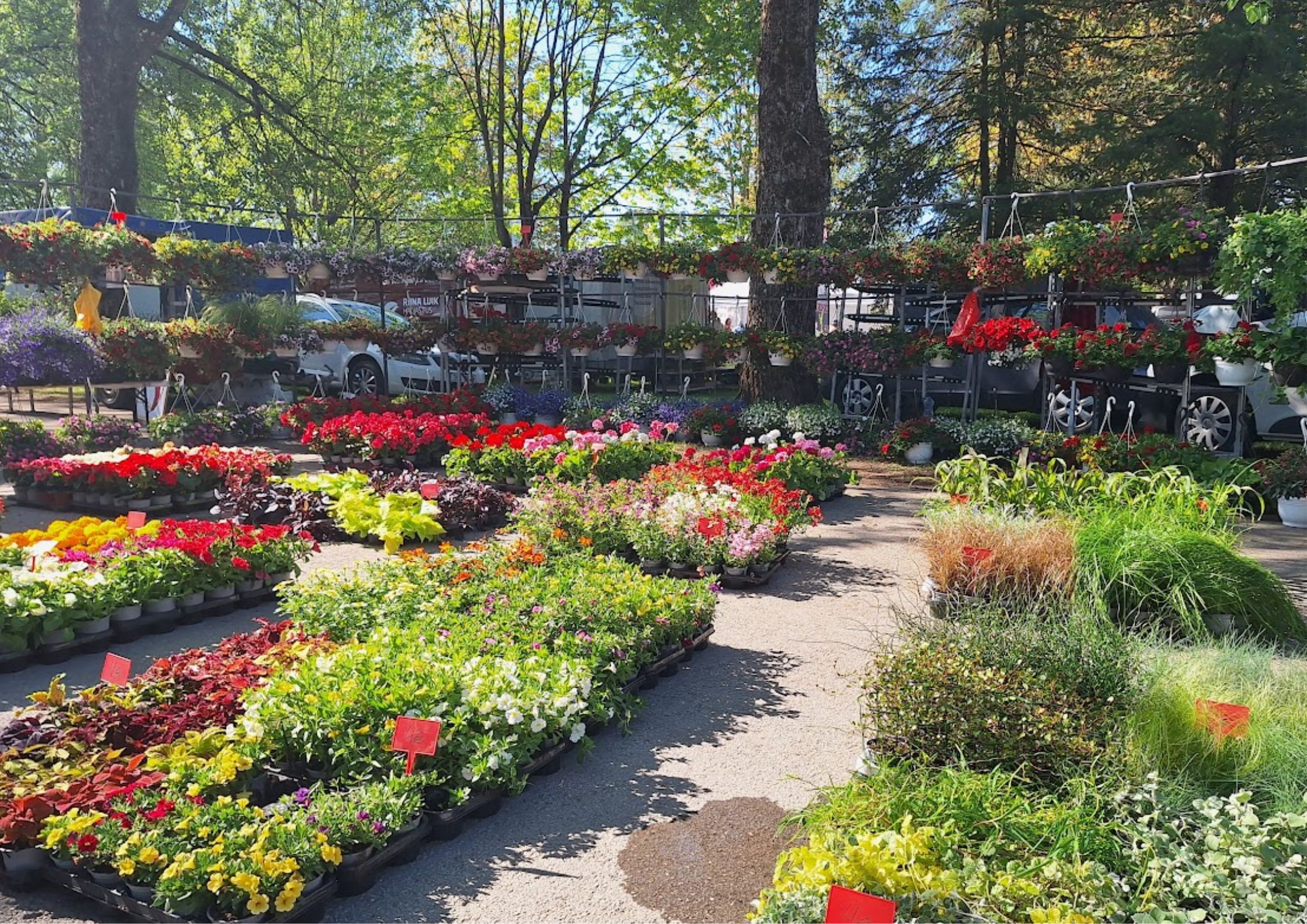 Türi Flower Fair