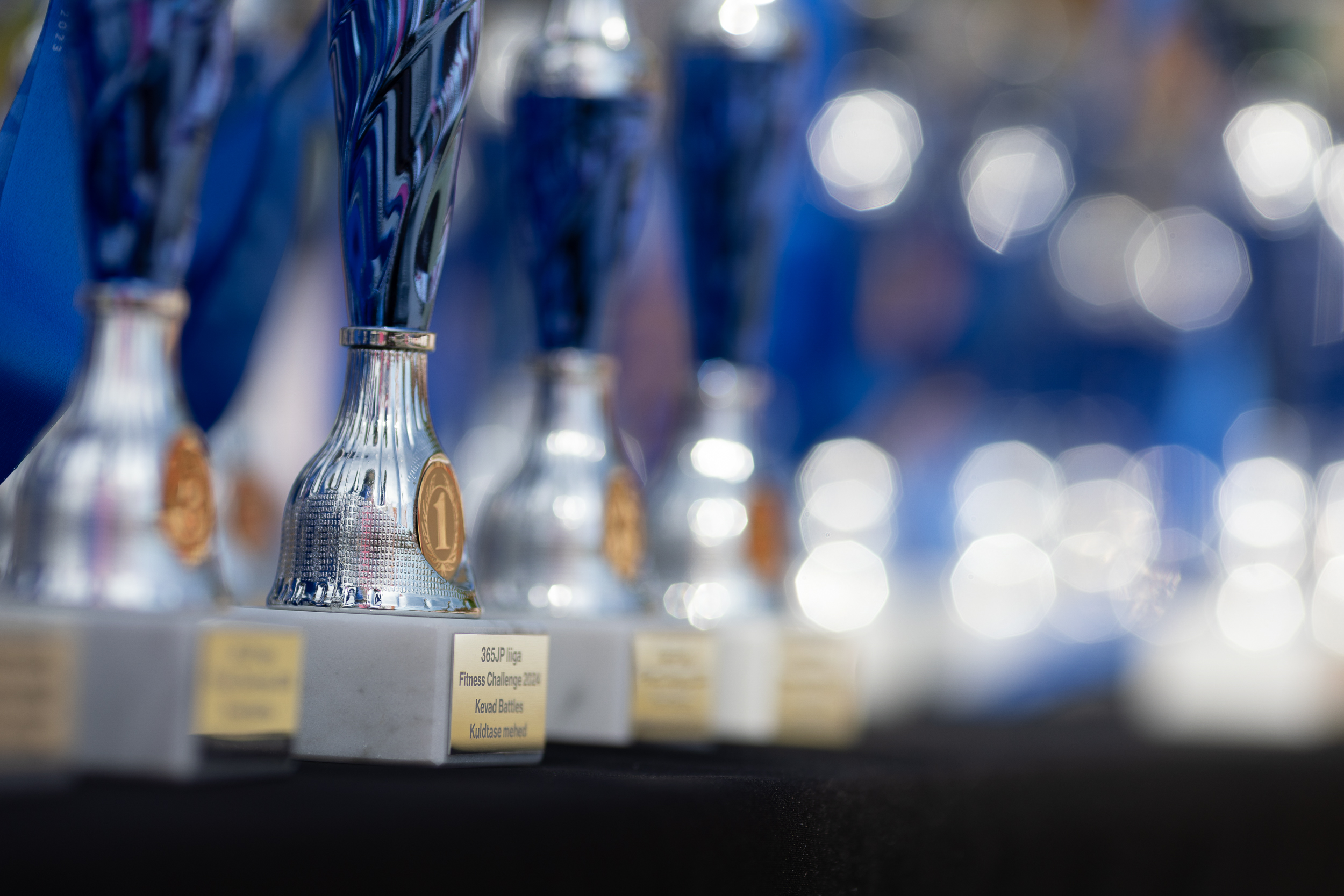 Cīņas sporta pasākums - Trofejas