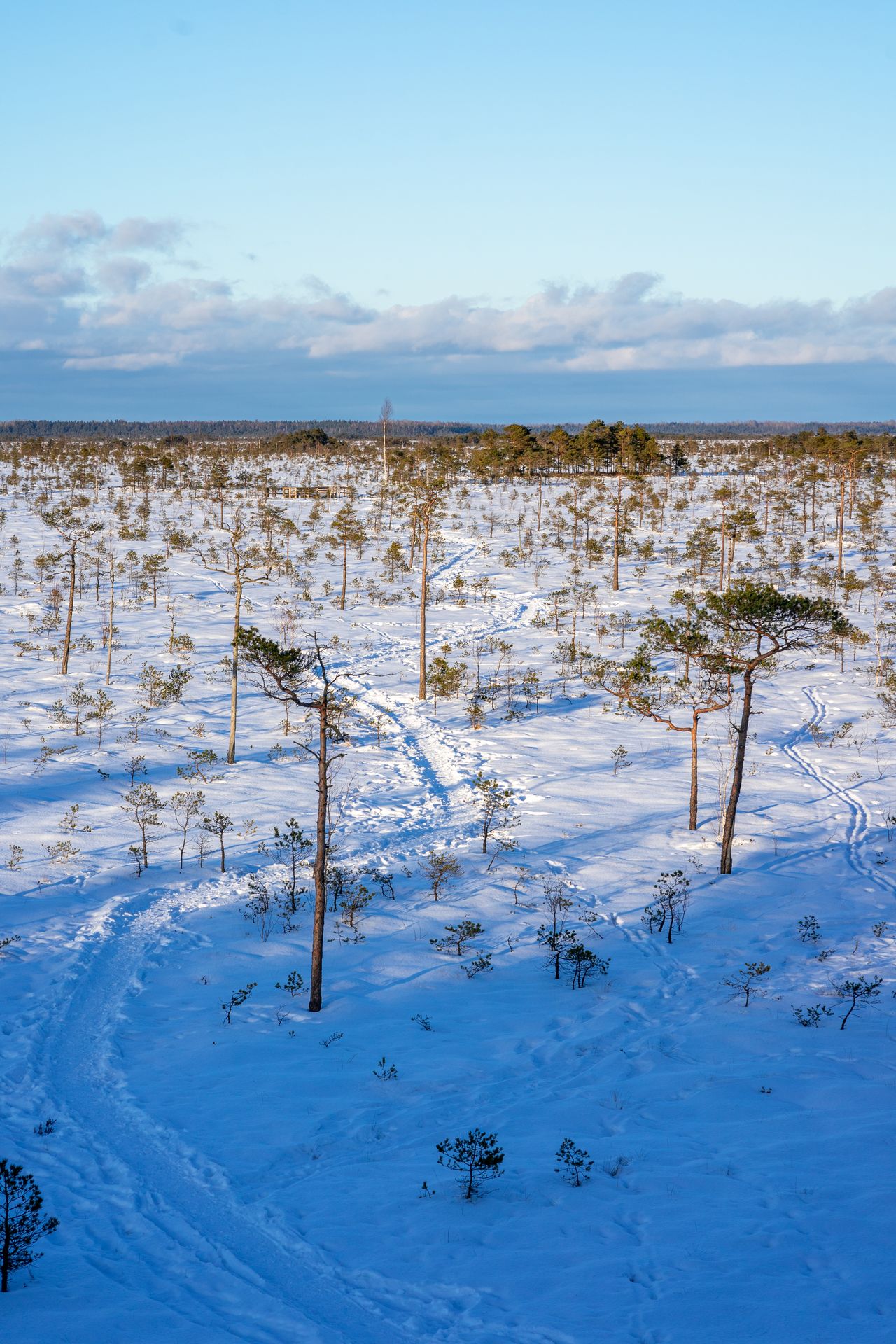 You will find a sign by Jõesuu-Tõramaa Road that directs you to a boardwalk to the beautiful Riisa bog. The trail passes 8 rest stops and a watchtower