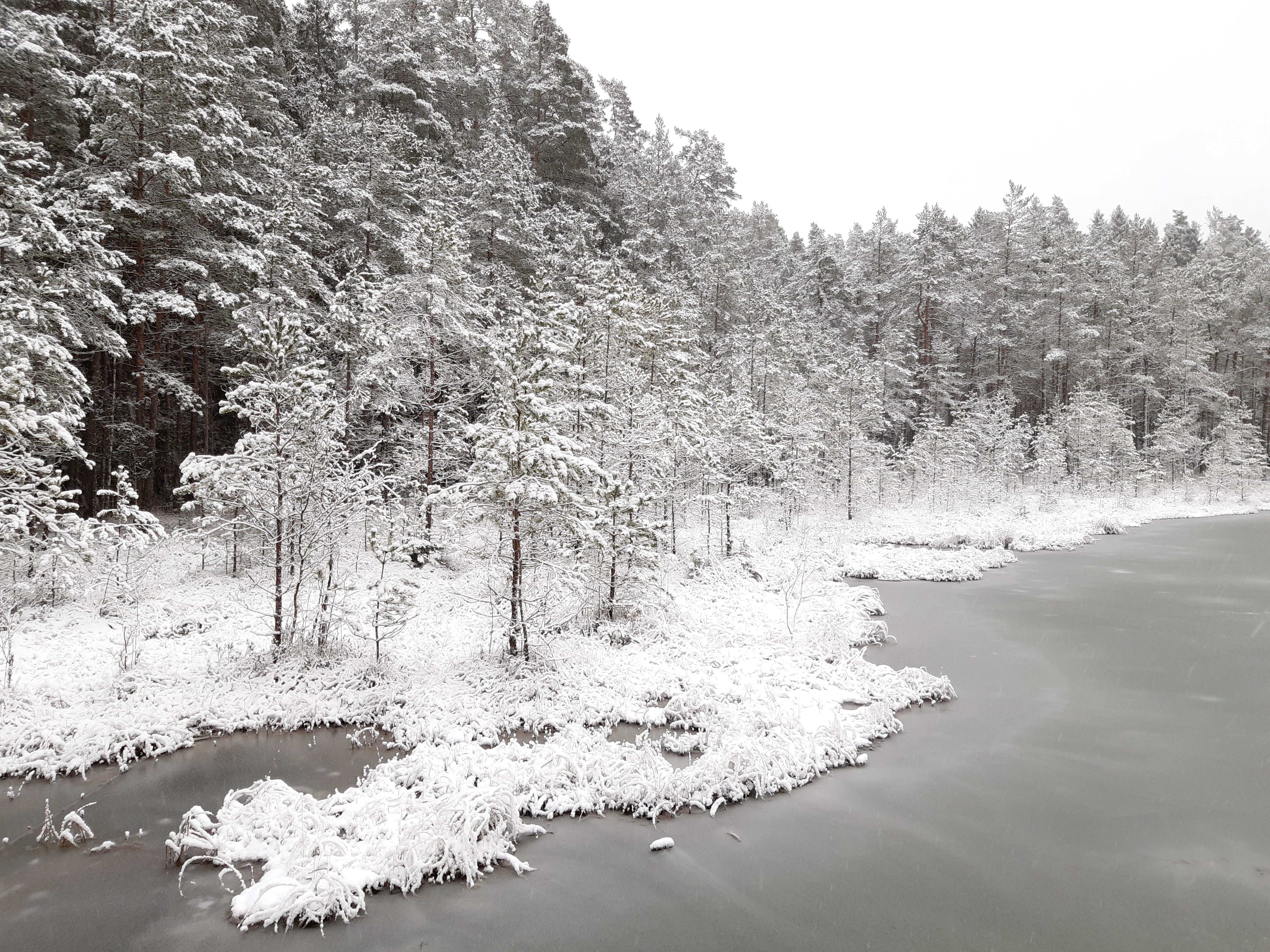 Winter on the nature trail Väike Väerada