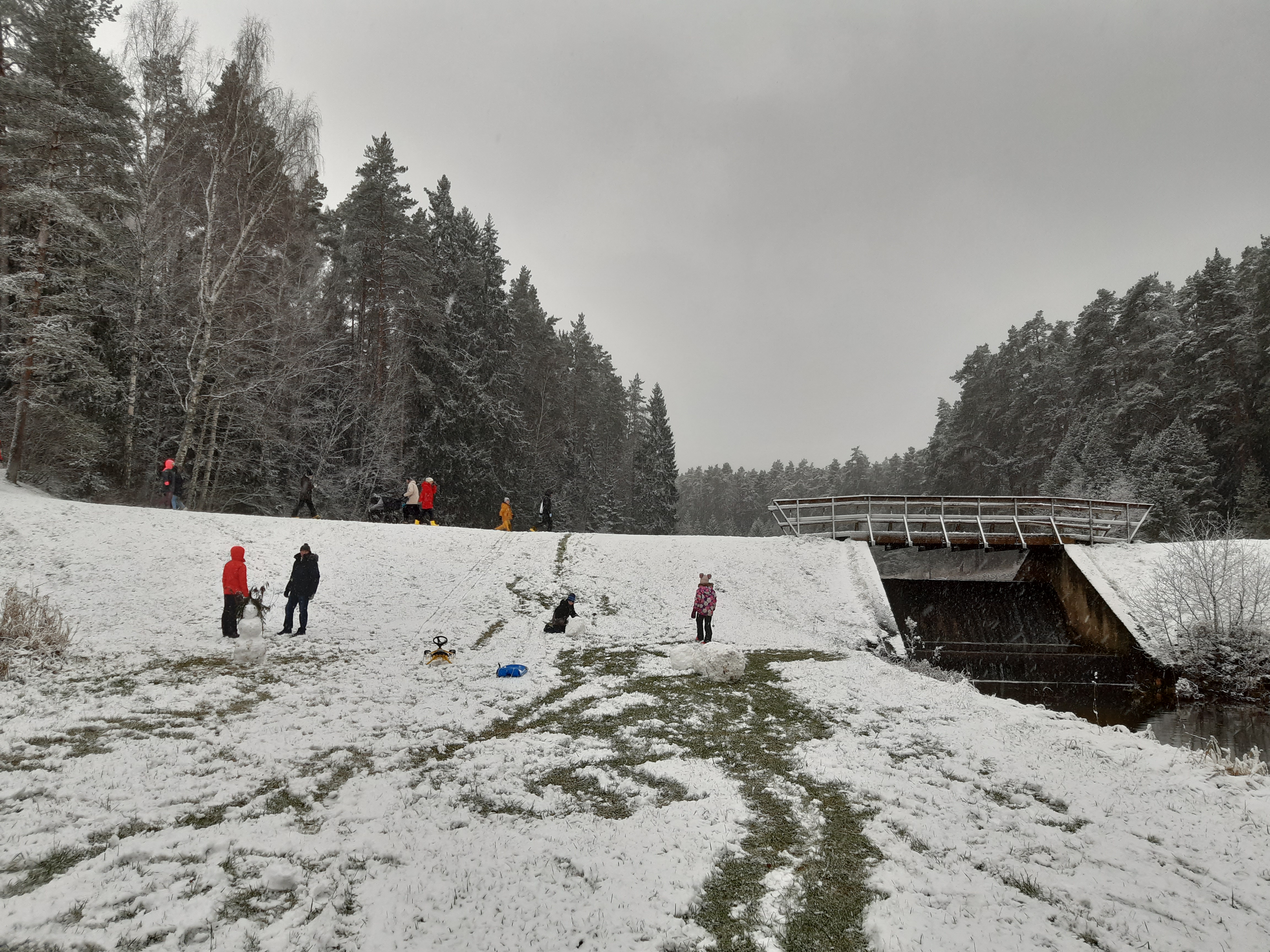 Kids sledging at nature trail Väike Väerada