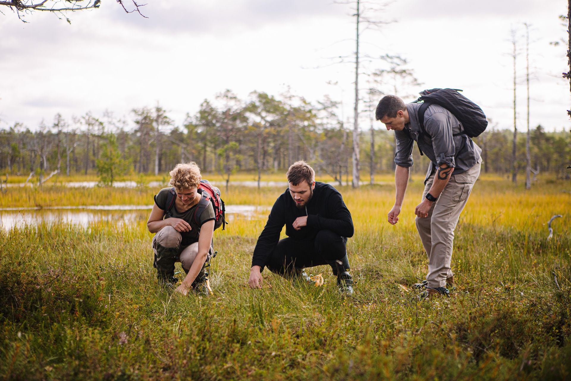 Snowshoe trip to pick cranberries