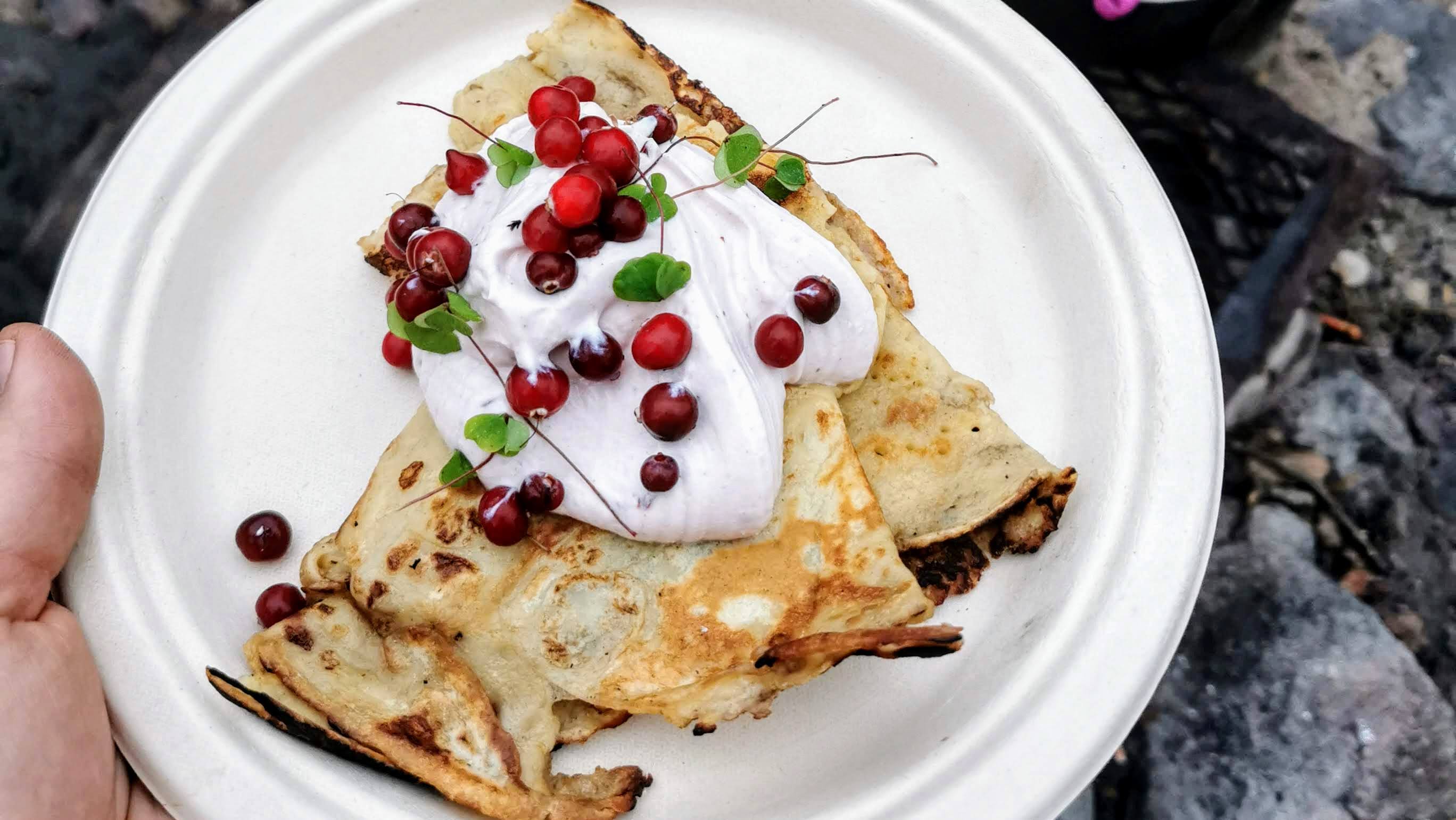 Pancakes with curd and freshly picked cranberries