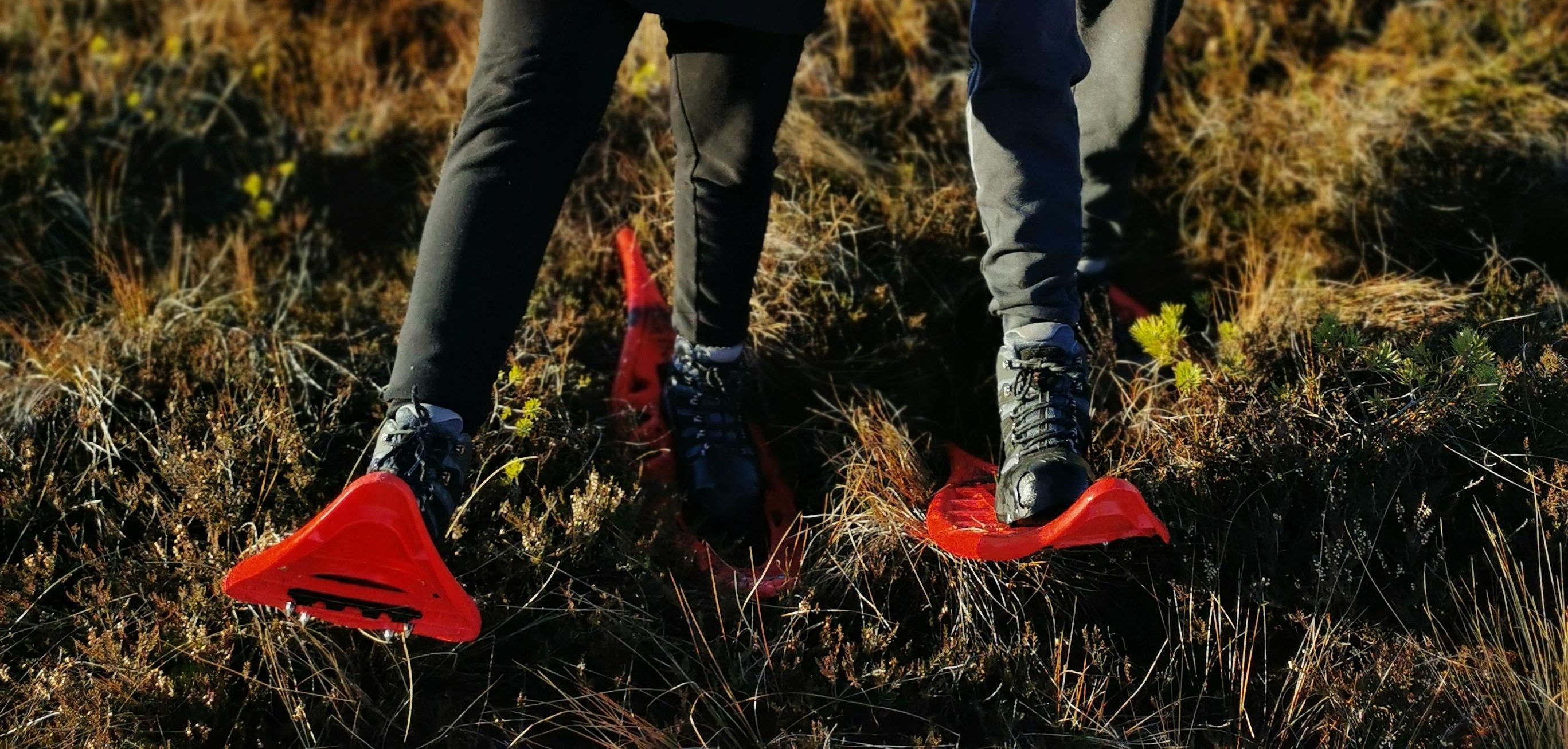 Snowshoe hiking in the bog of Soomaa national Park