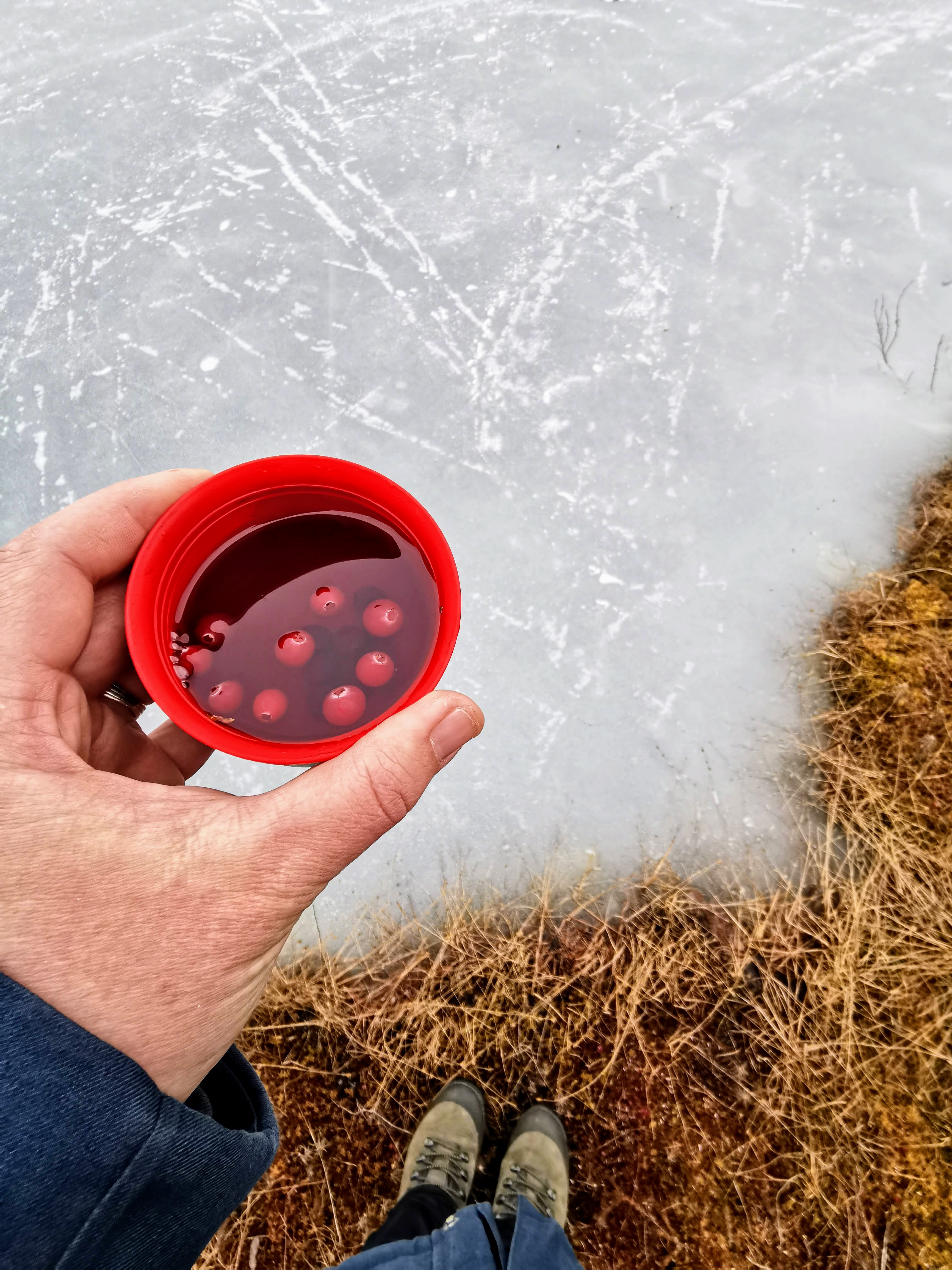 Tea with cranberries by frozen bog lake