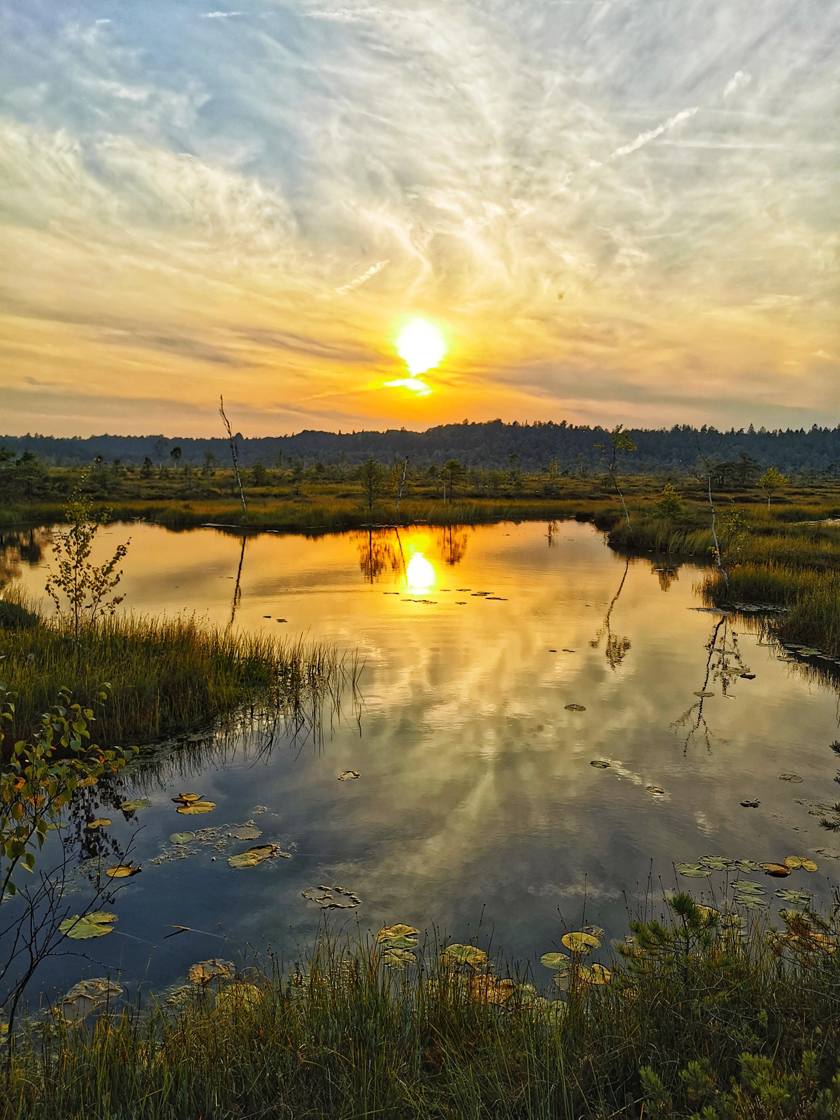 Autumn sunset in the bog of Soomaa national Park