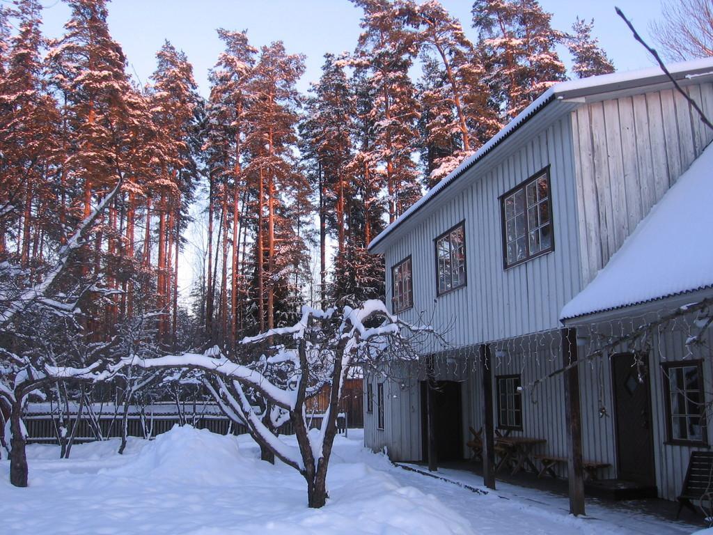 Männin tilan lomatalo