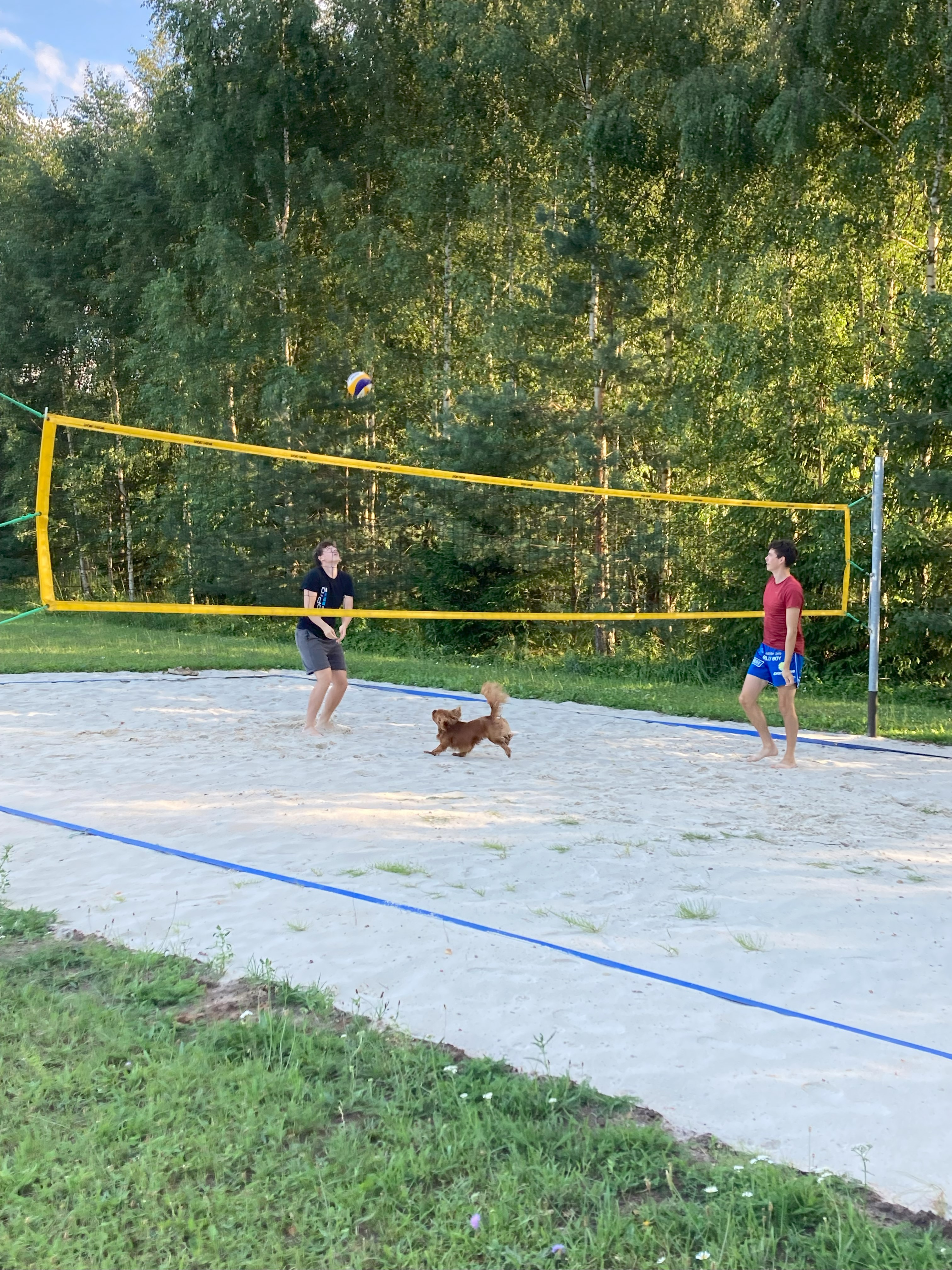 Võrkpalliväljak