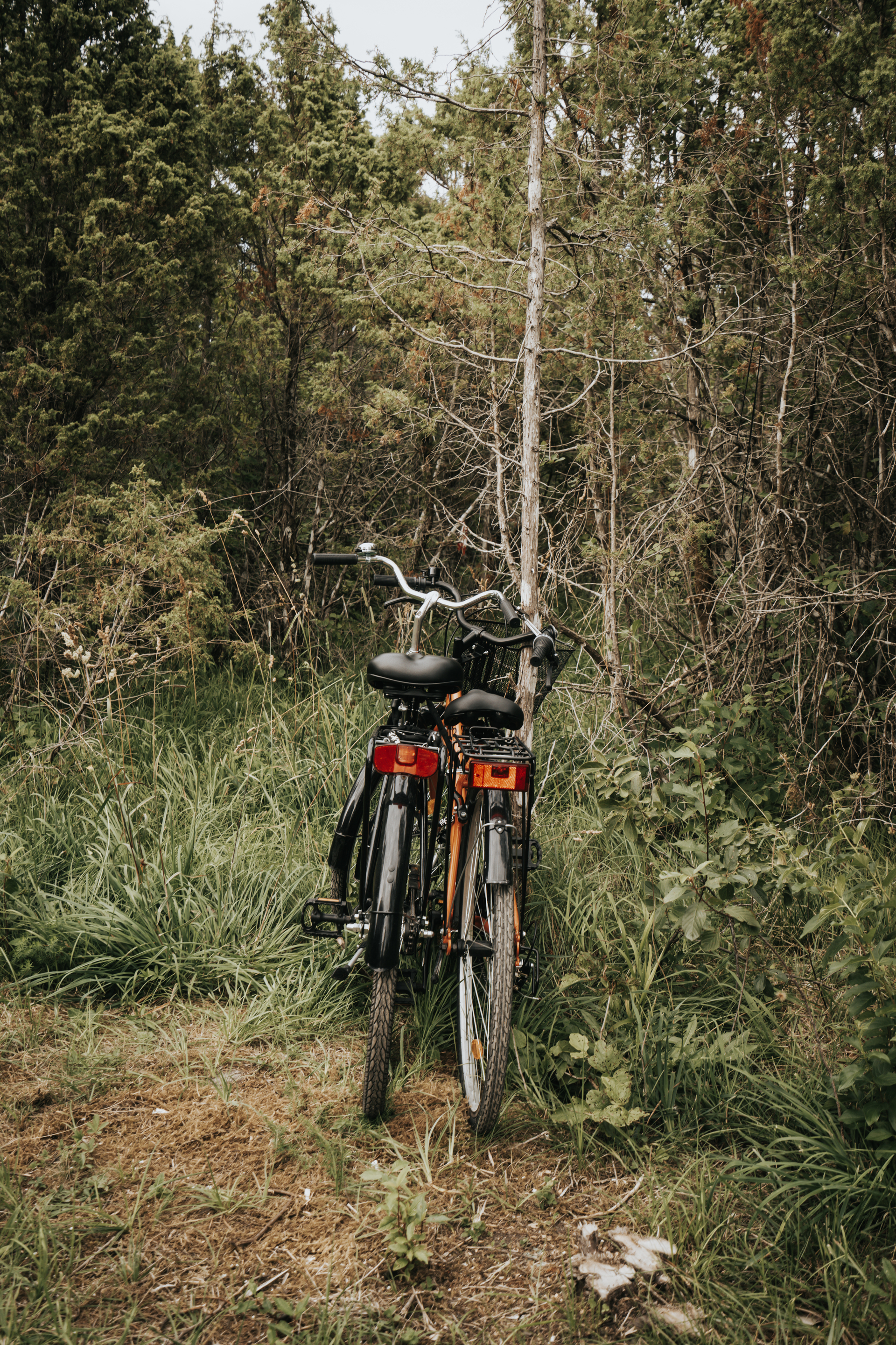 Bicycles - Kuul Stay