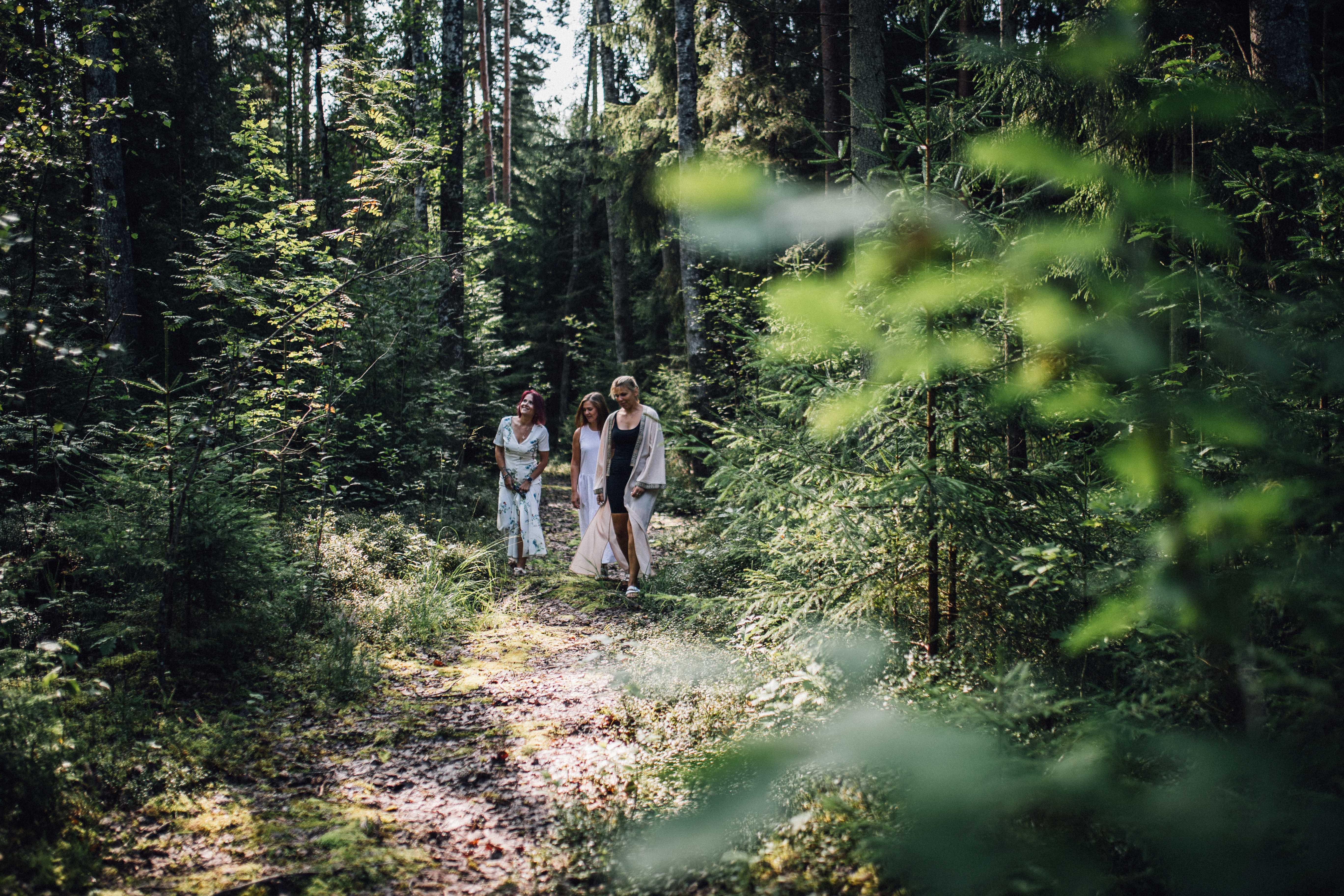 Metsatee jõe äärde