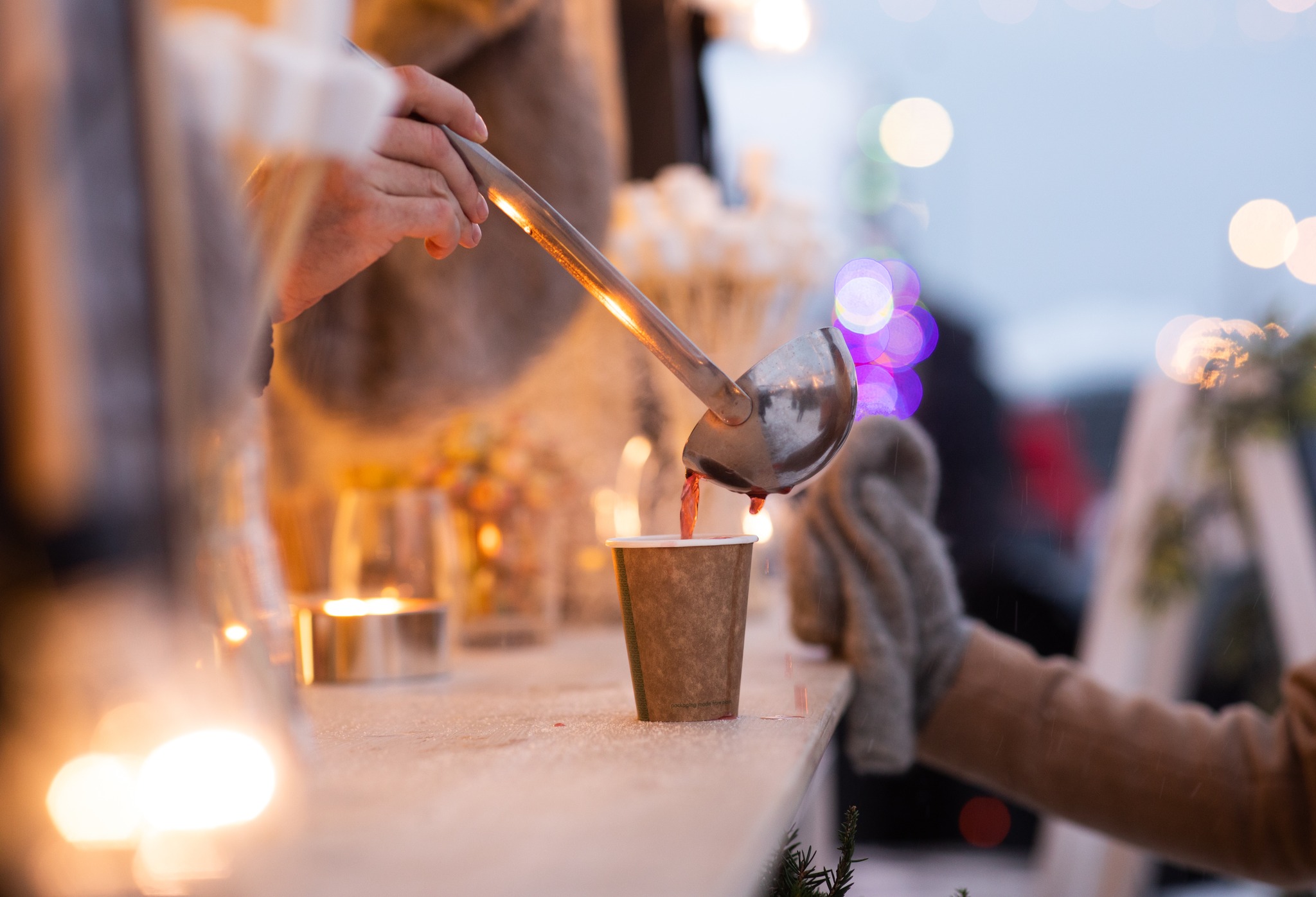 Ziemassvētku ciemats Iglu parkā