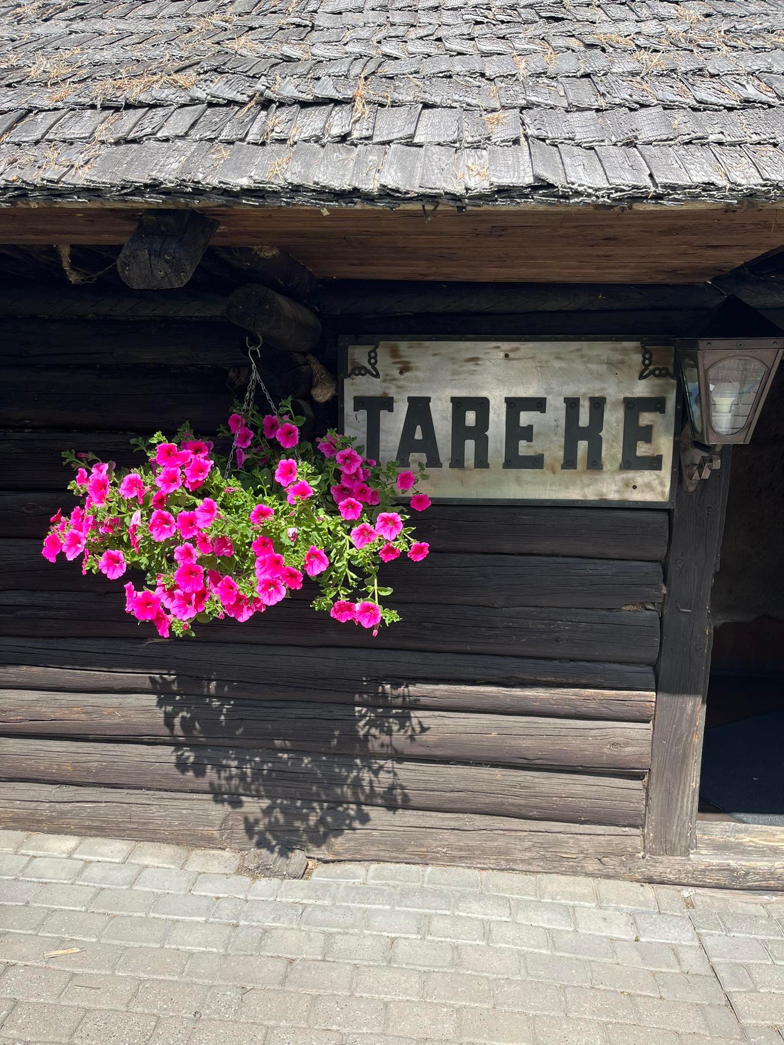 Trahter Tareke