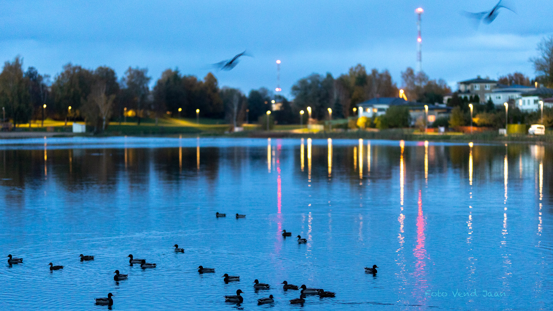 Meil on kohe kaks järve. Paala järv