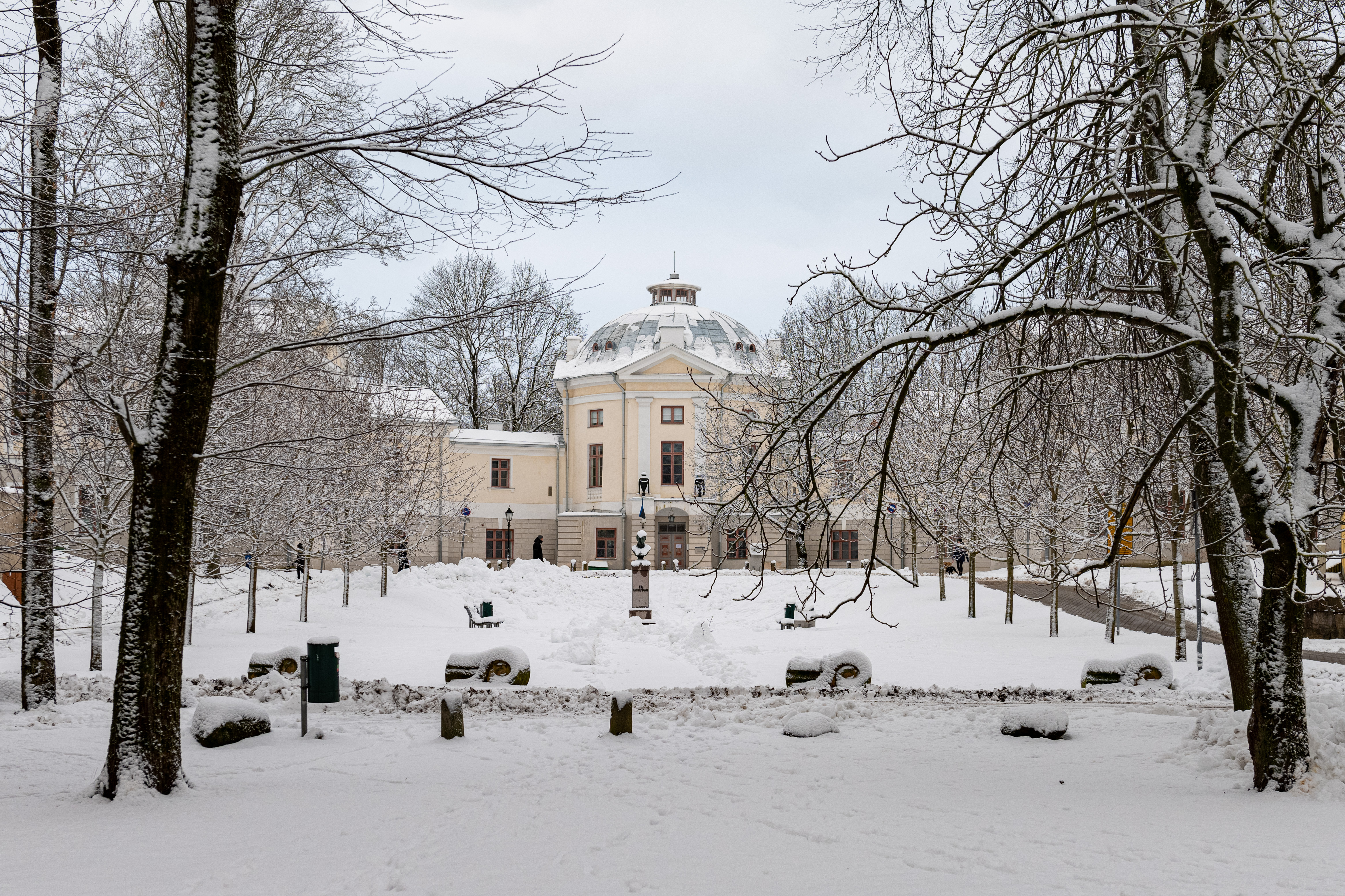 Talvine Toomemägi ja Vana anatoomikum