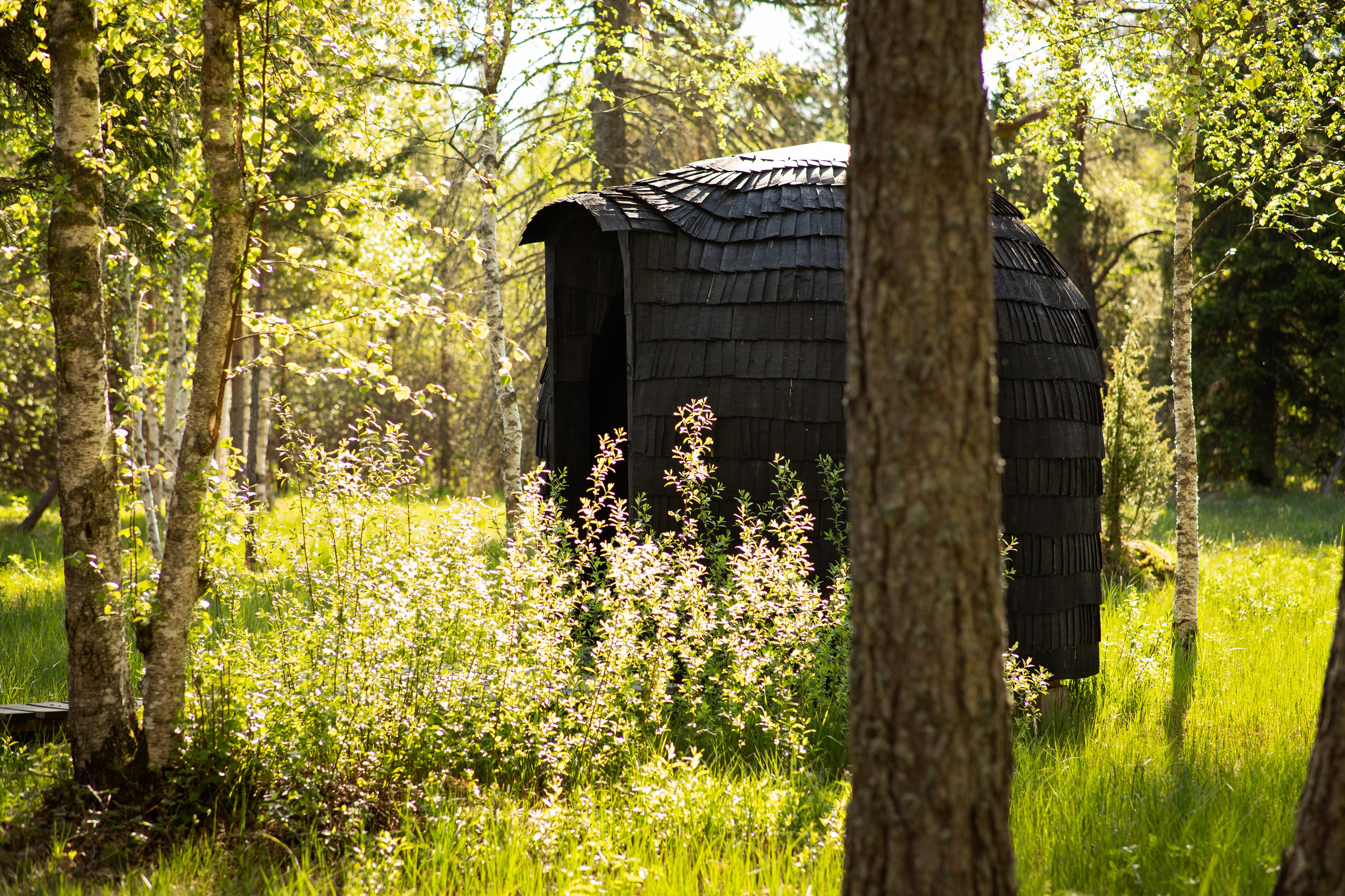 Iglusauna des Treehouse Estonia Sambliku