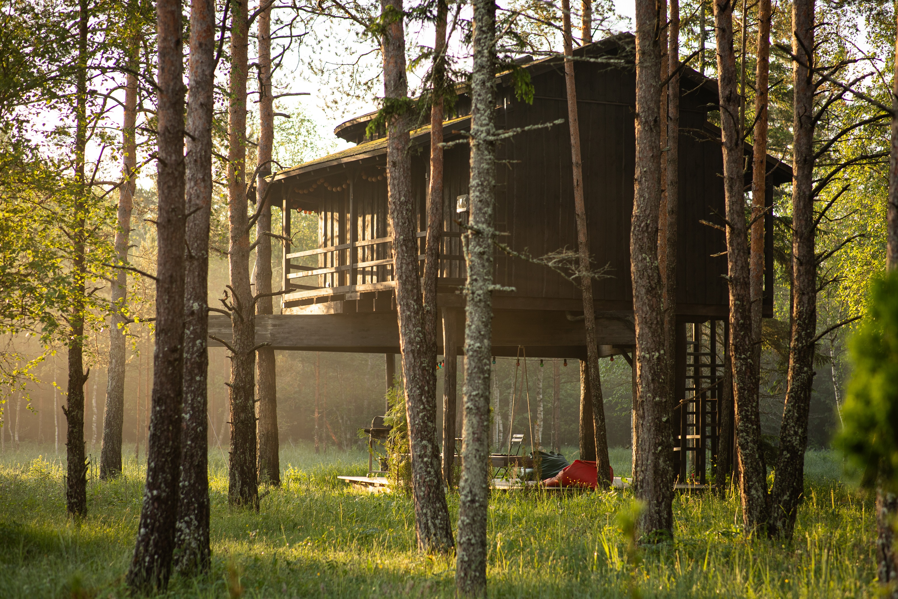 Treehouse Estonia Sambliku elamusmajutus puumajas hommikul