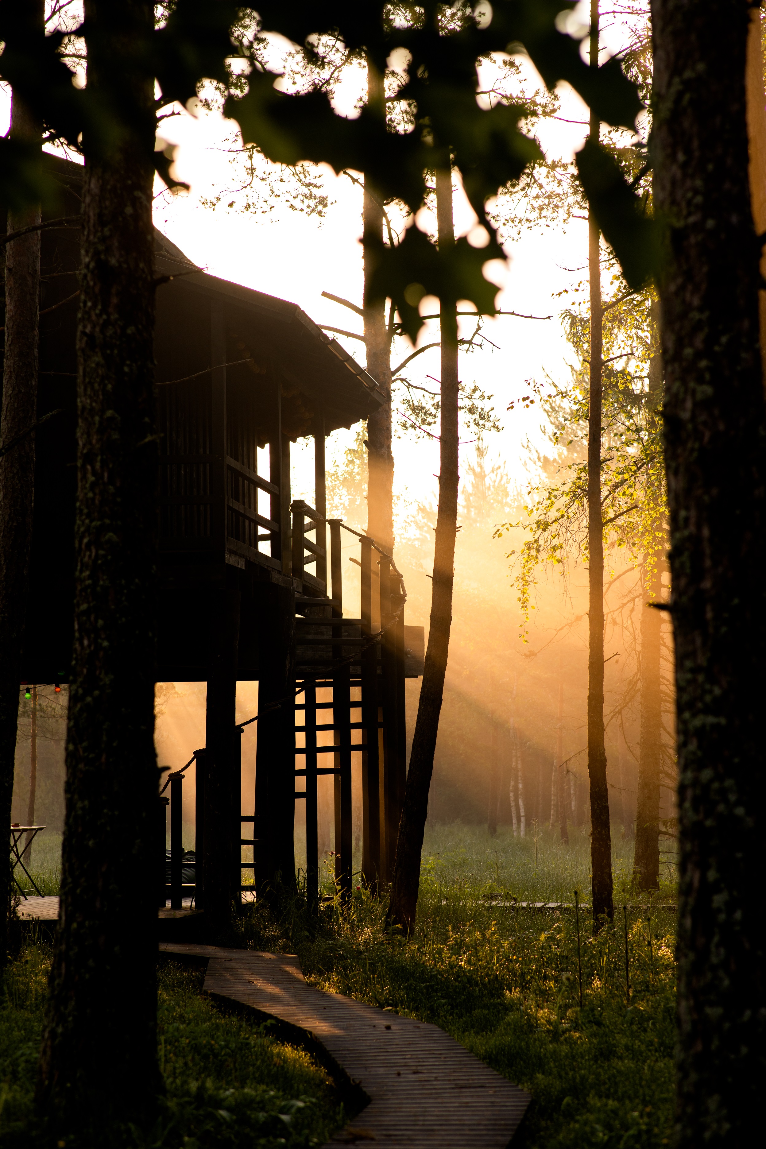 Treehouse Estonia Sambliku am Morgen