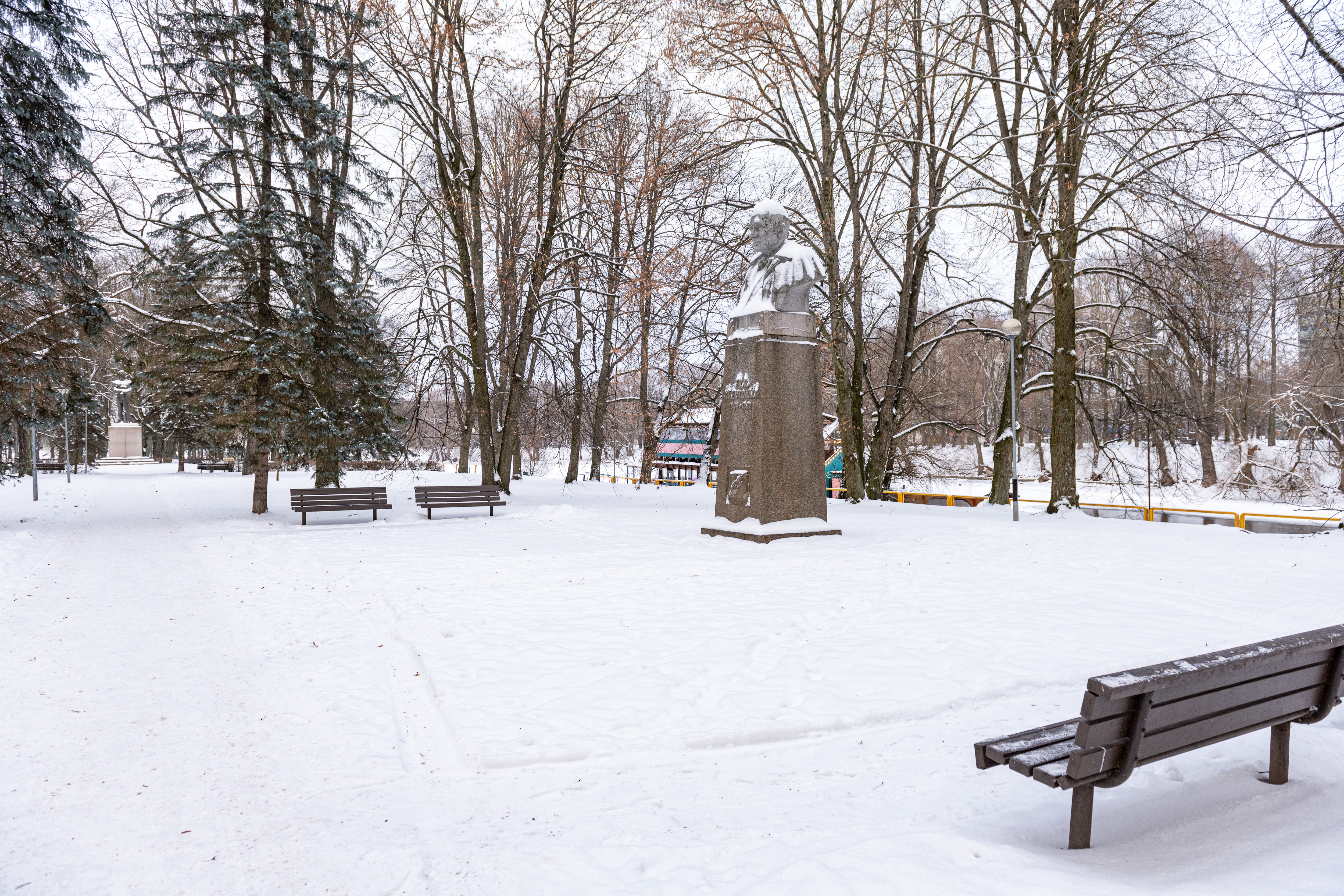 Friedrich Reinhold Kreutzwaldi monument talvel