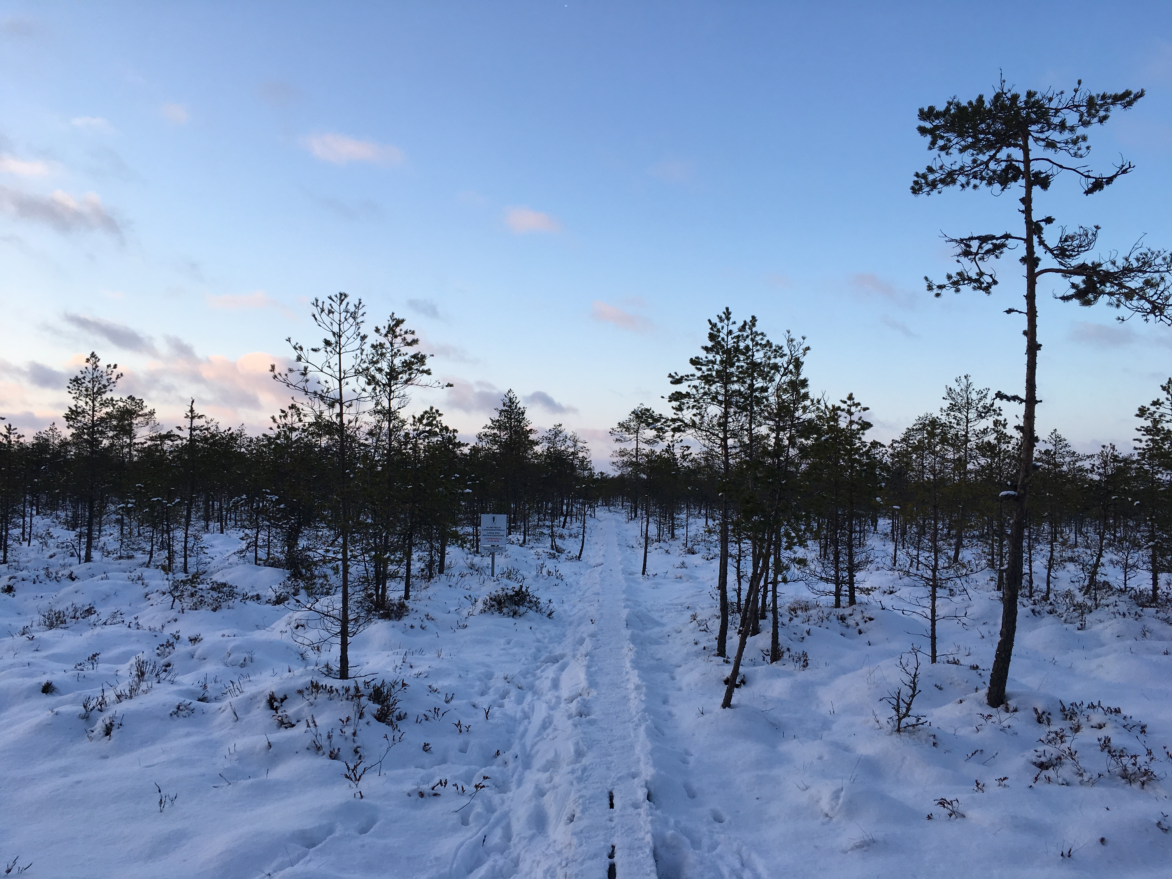 Selli-Sillaotsa matkarada Alam-Pedja looduskaitsealal