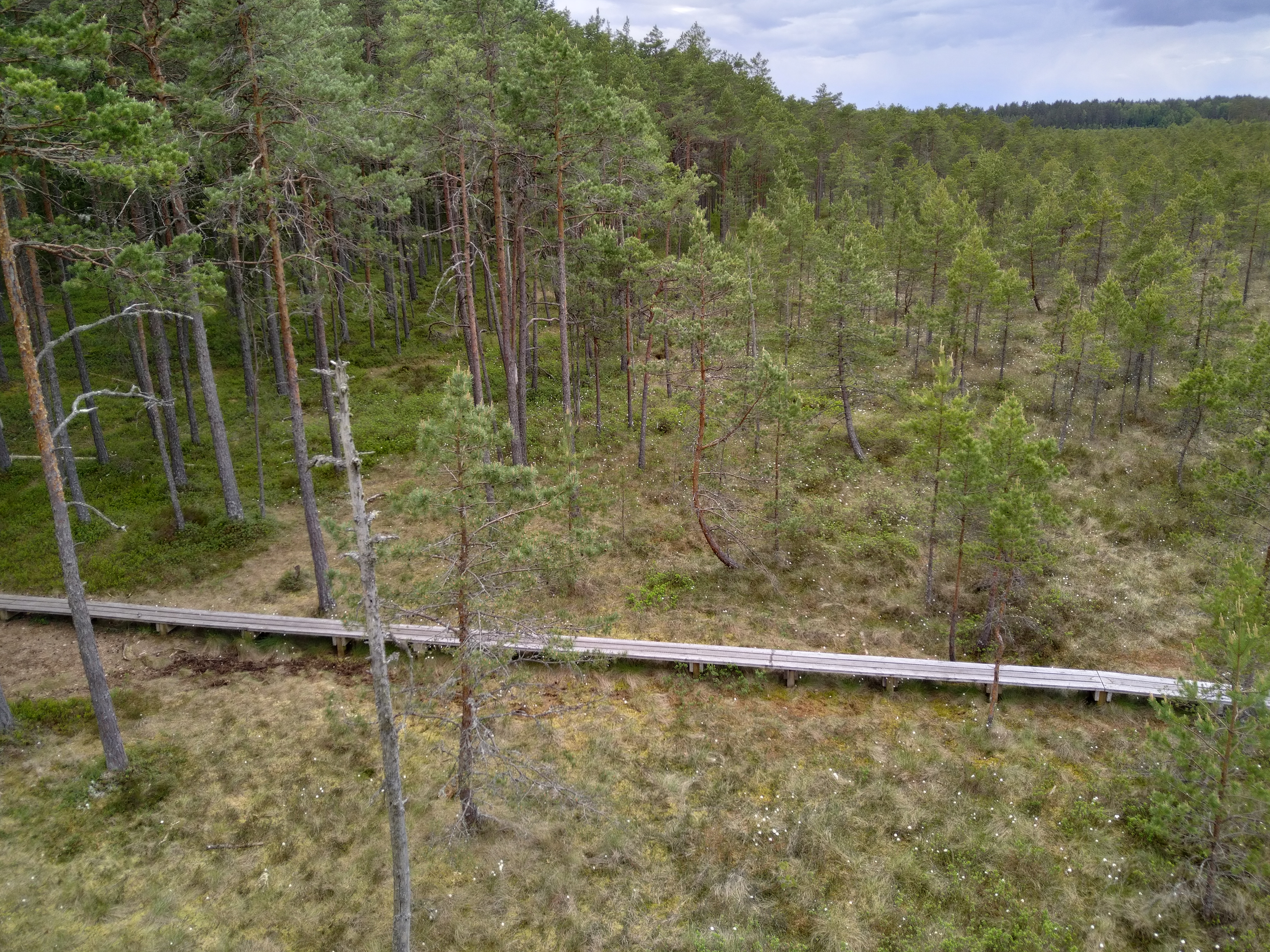 Vaade Suuretüki vaatetornist Selli-Sillaotsa õpperajale