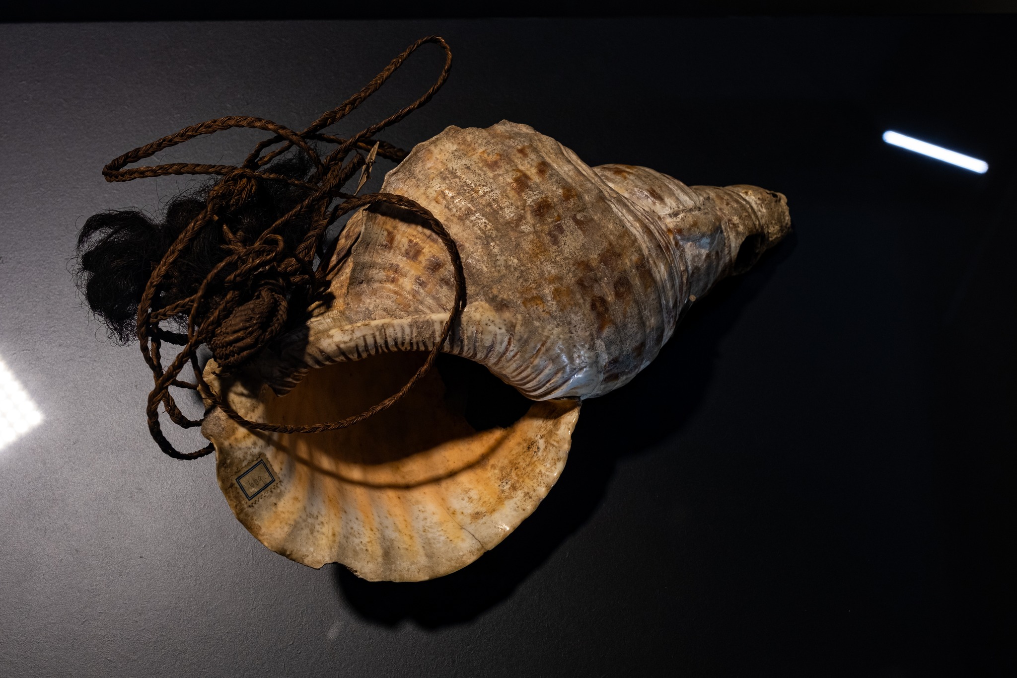 Näyttely Viron merenmuseossa