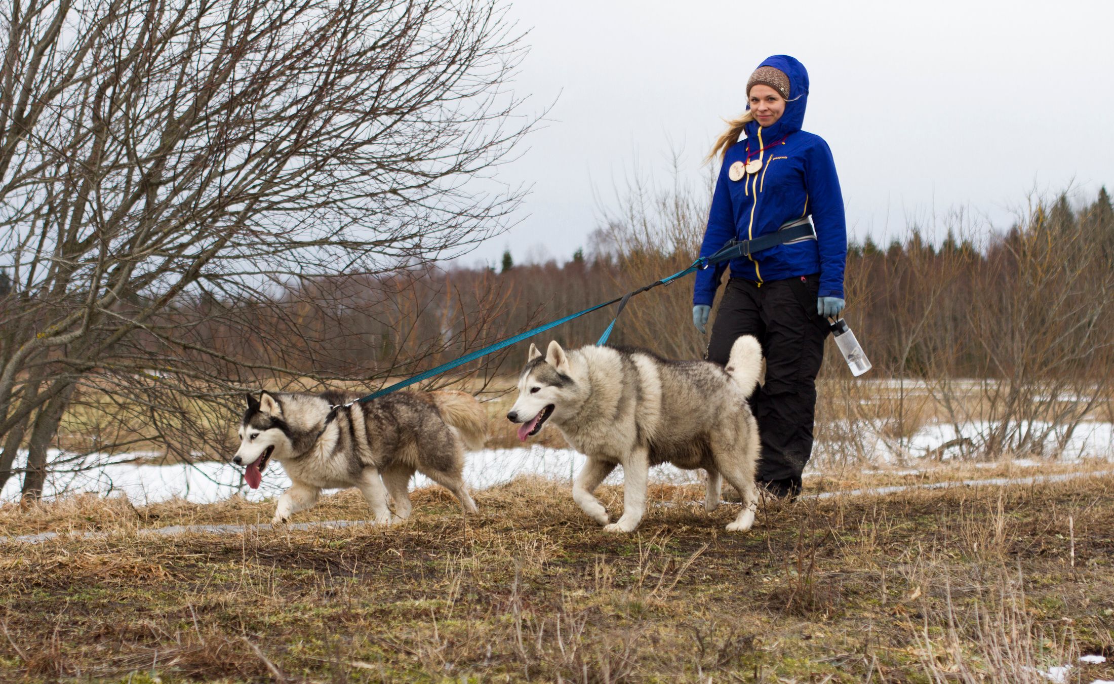 Visit huskies and malamutes in sled dog parks in the forests of Kõrvemaa. The hour-long drive from Tallinn to the dogs takes you through beautiful Est