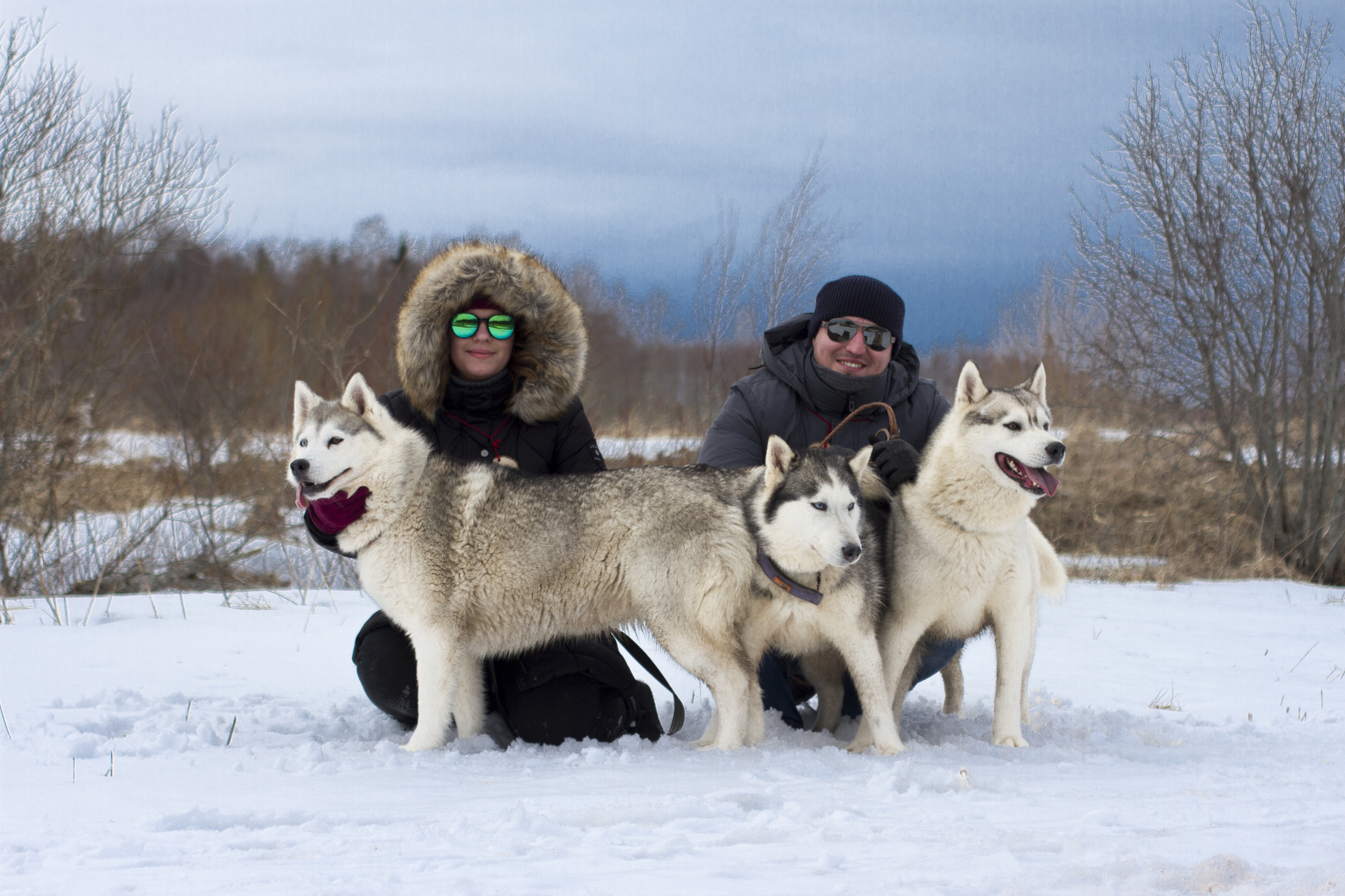 Photoshoot with Huskies in Kõrvemaa nature