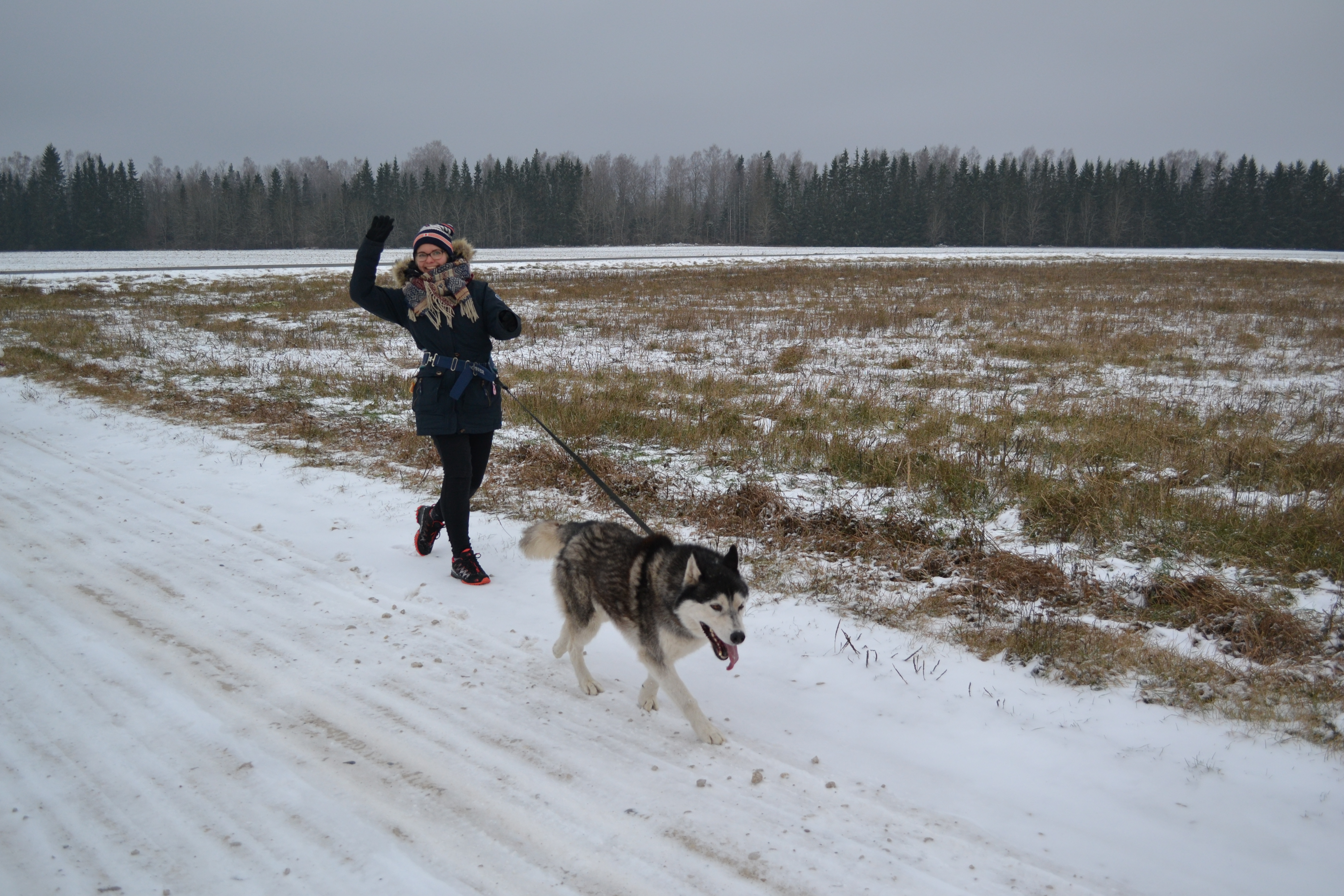 Active hike in dog app in fields in Estonia