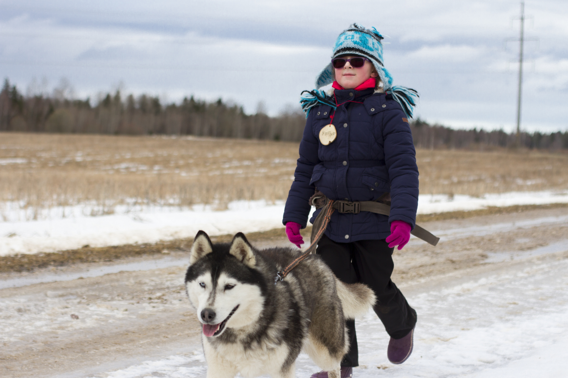 Hikes with Huskies for children