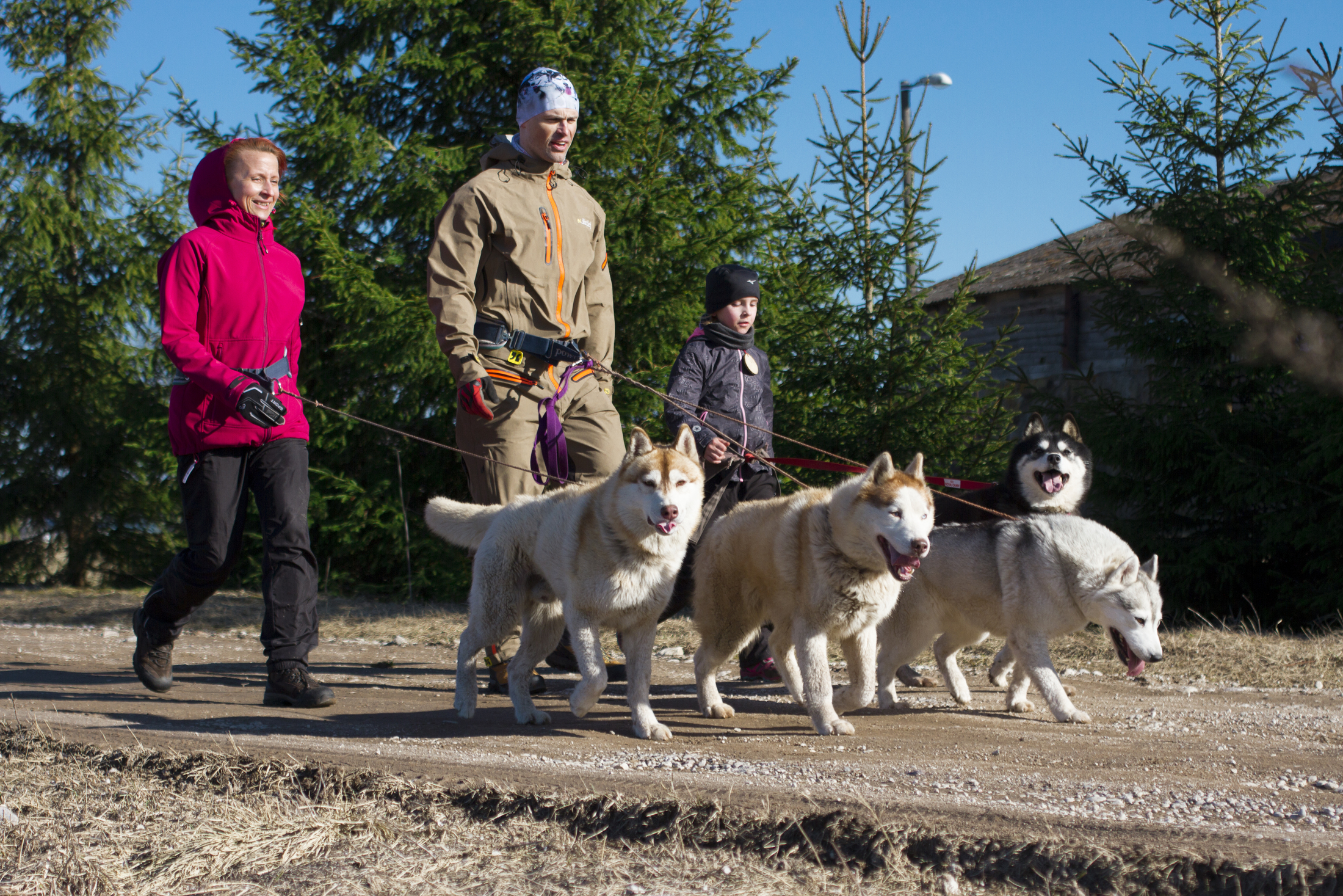 Dog hikes for families in Harju County