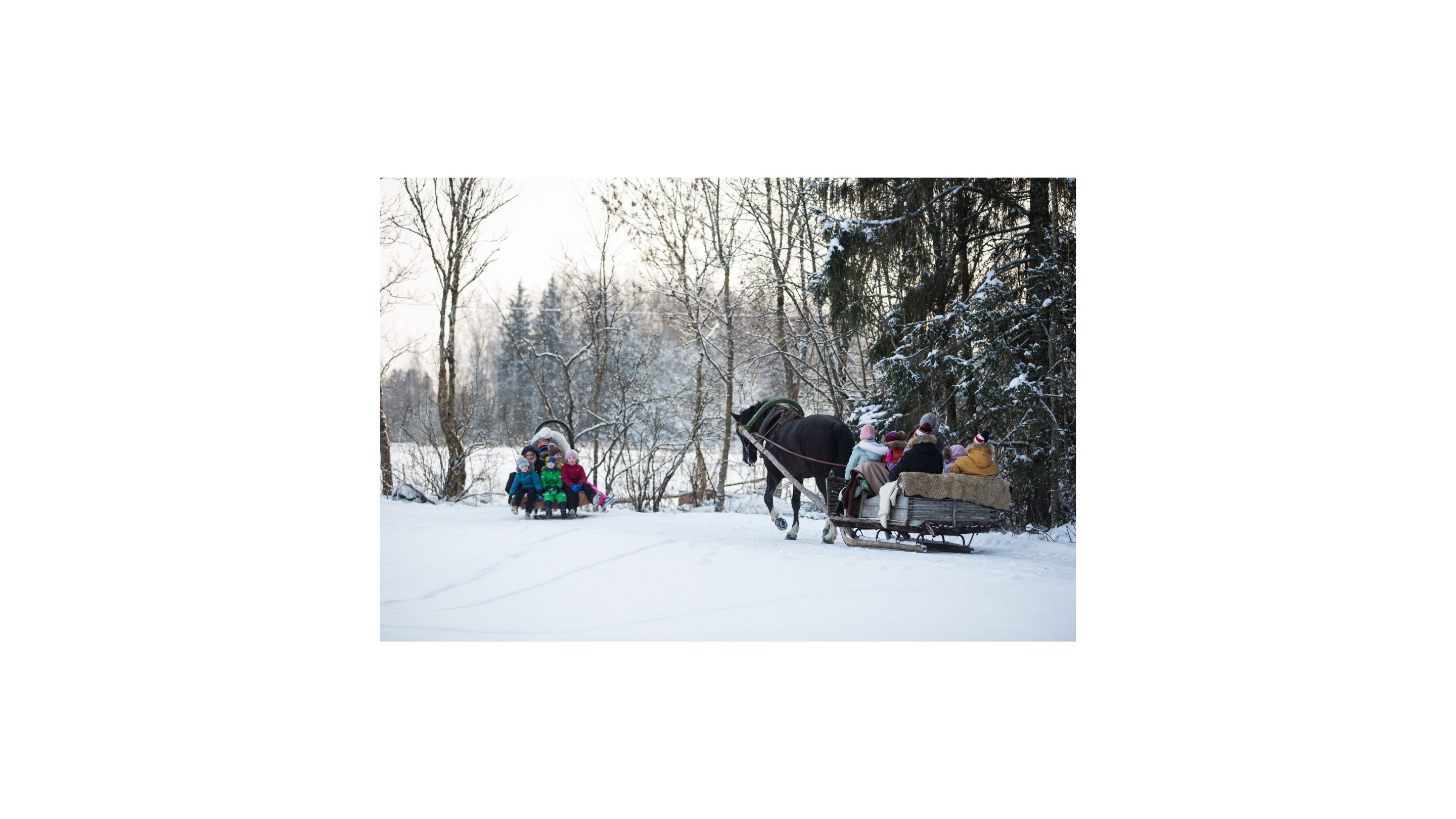 Come to Juurimaa and enjoy winter fun! Our weather has blessed Estonia with a thick snow carpet, and the forests are covered in magical white blanket 