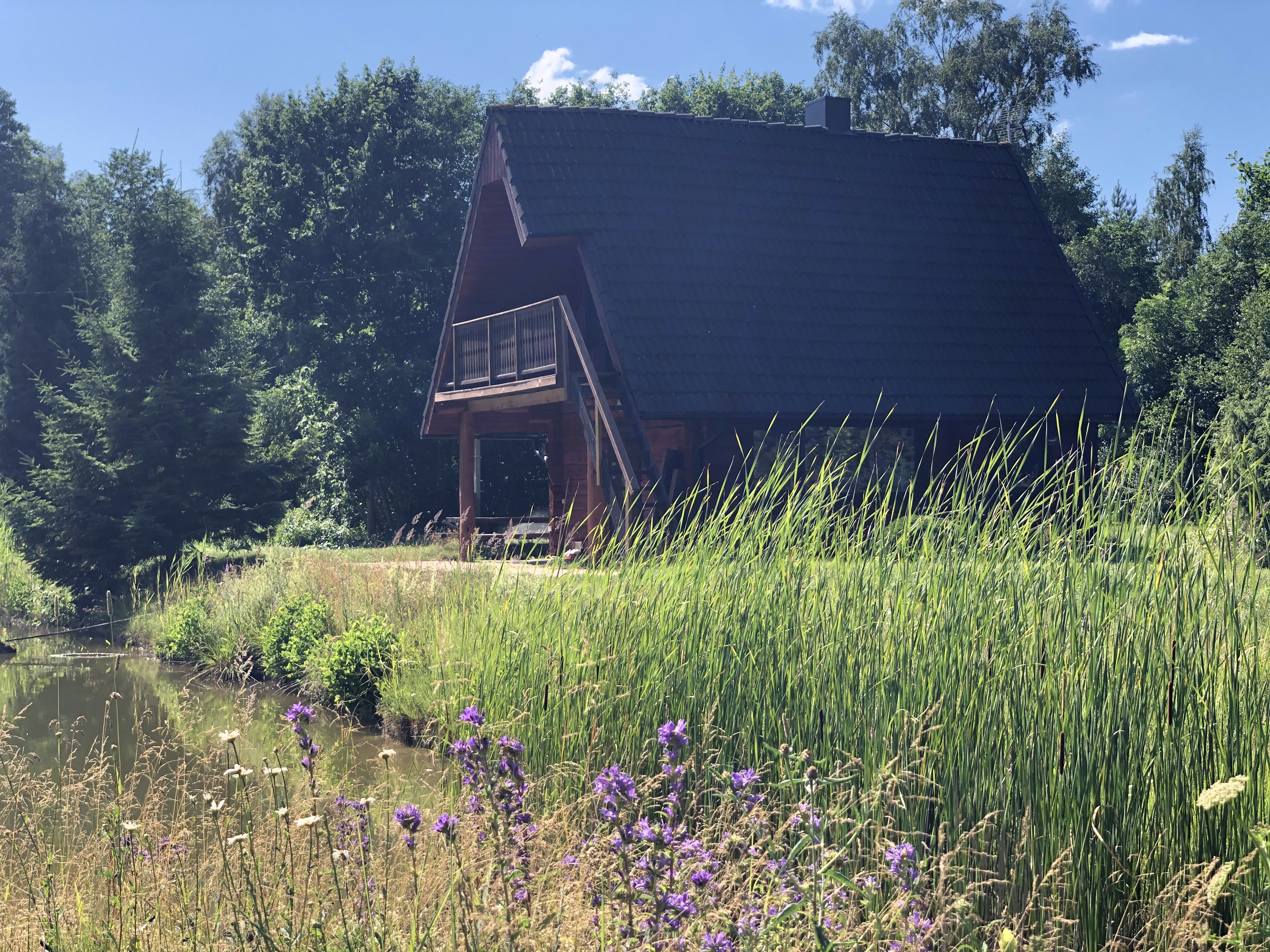 Holiday home with pond and sauna