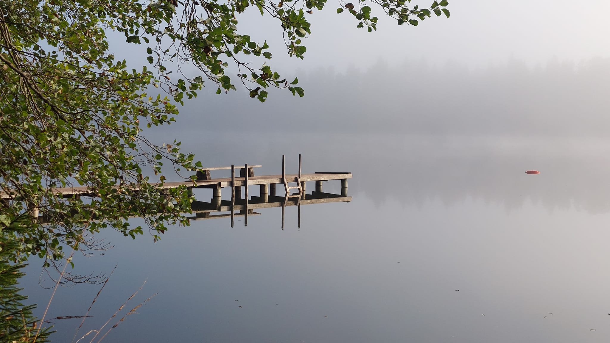 Valgejärv