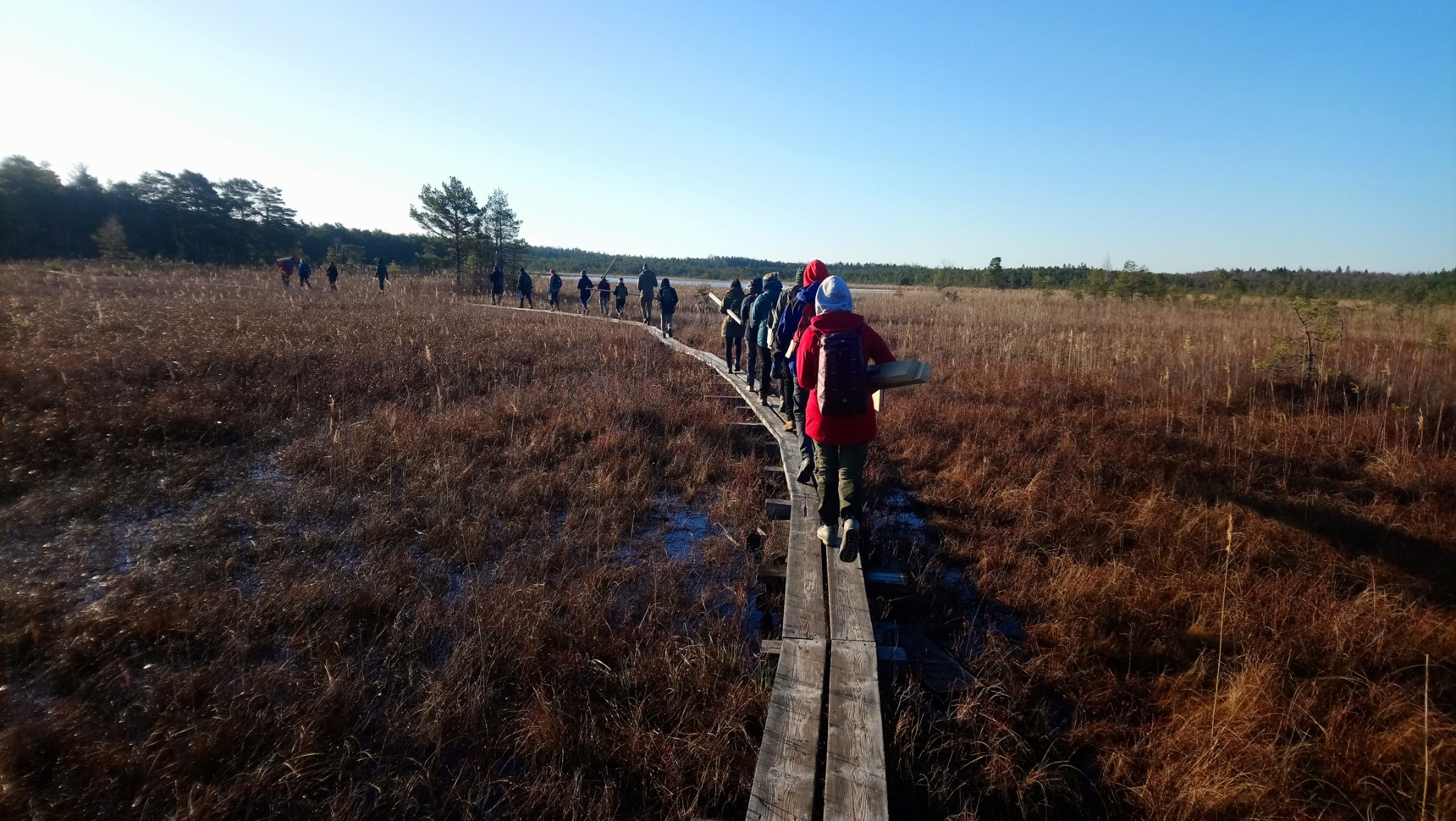 Valgejärve loodusõpperaja sügisesed matkajad