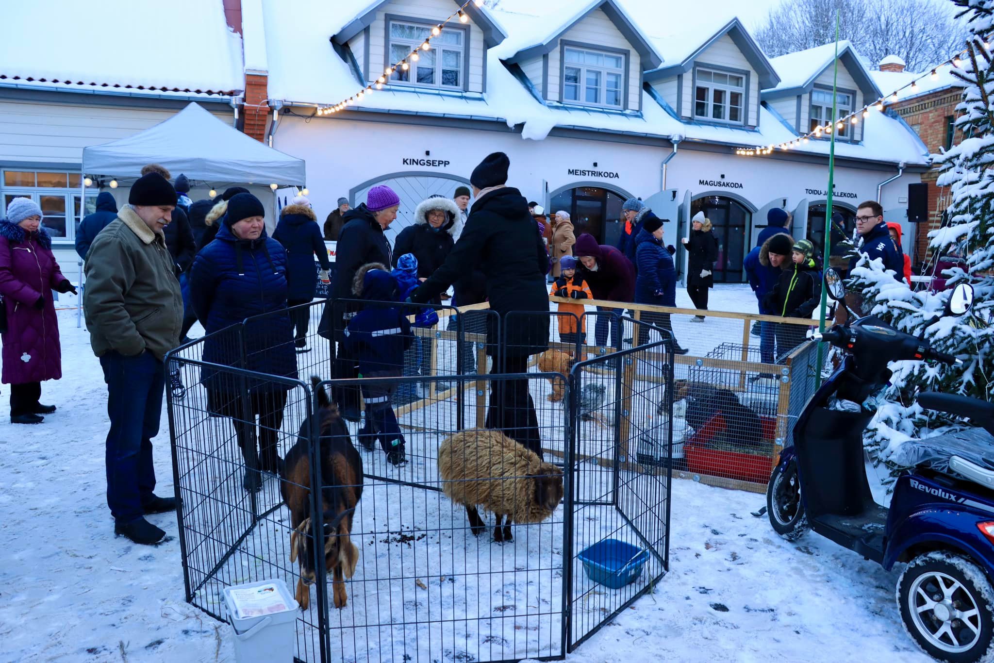 Laadal on näha ka väiksemaid loomasõpru