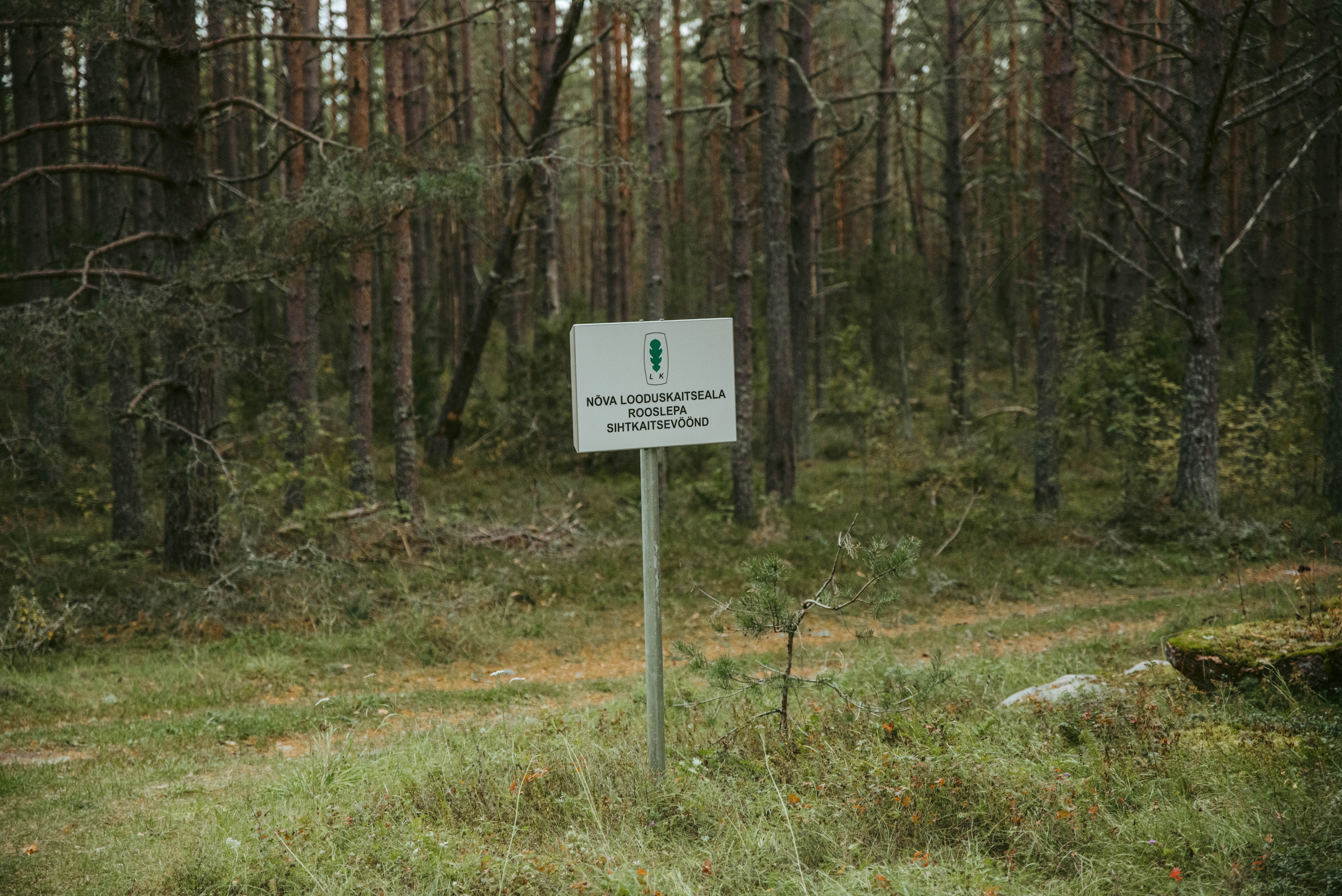Looduskauniskoht Noarootsis
