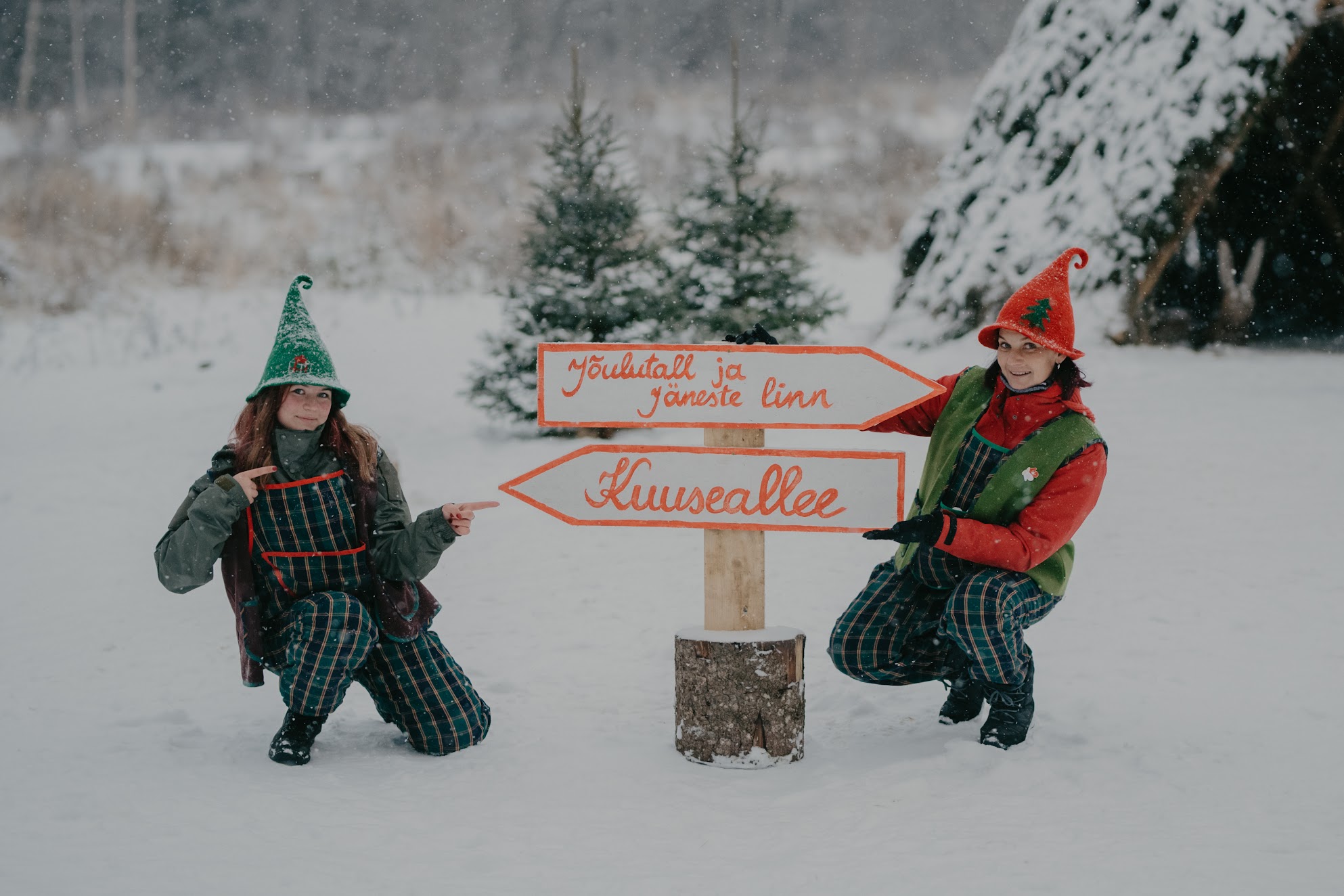 Ziemas ciema "Talveküla" rūķi