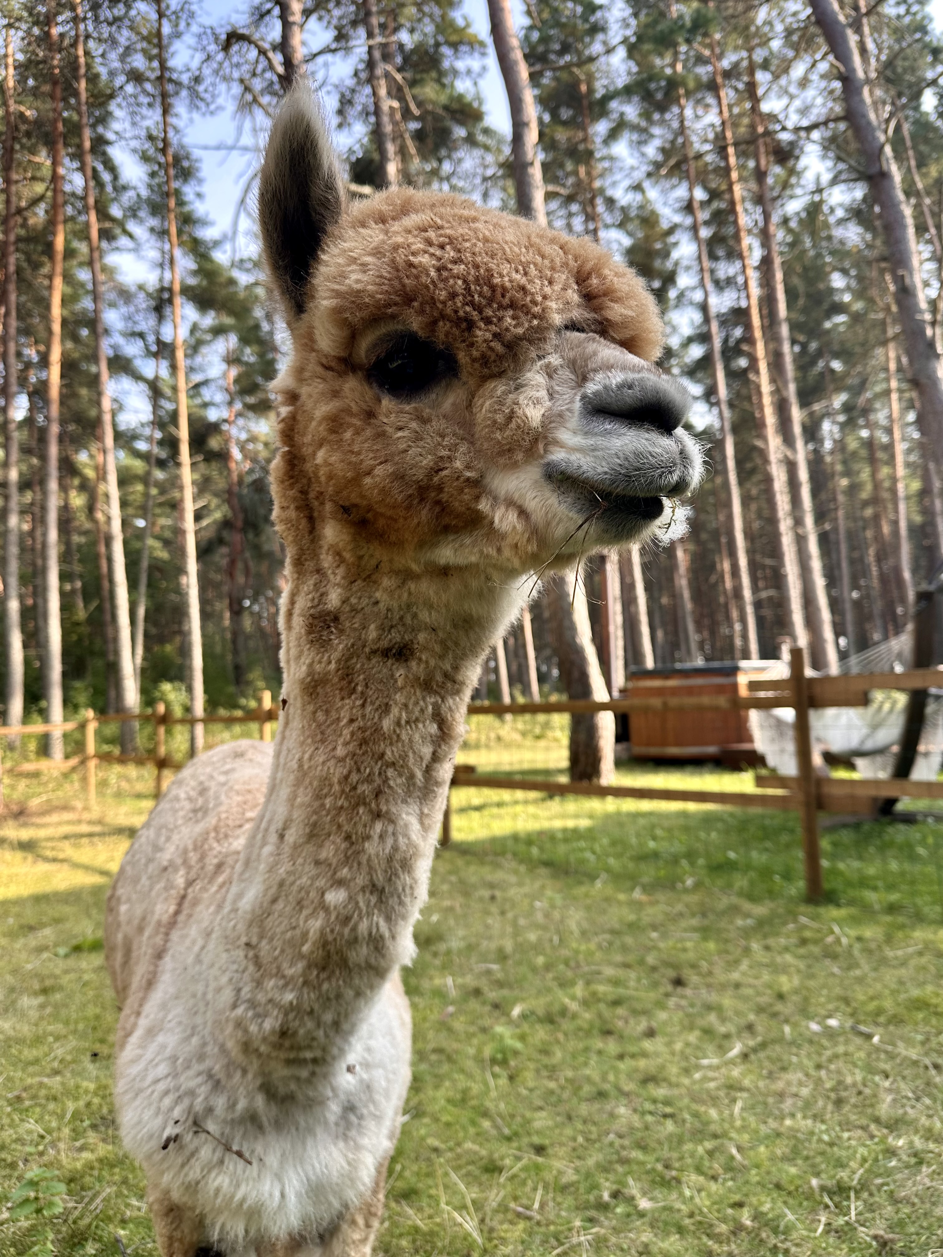 Lennart!