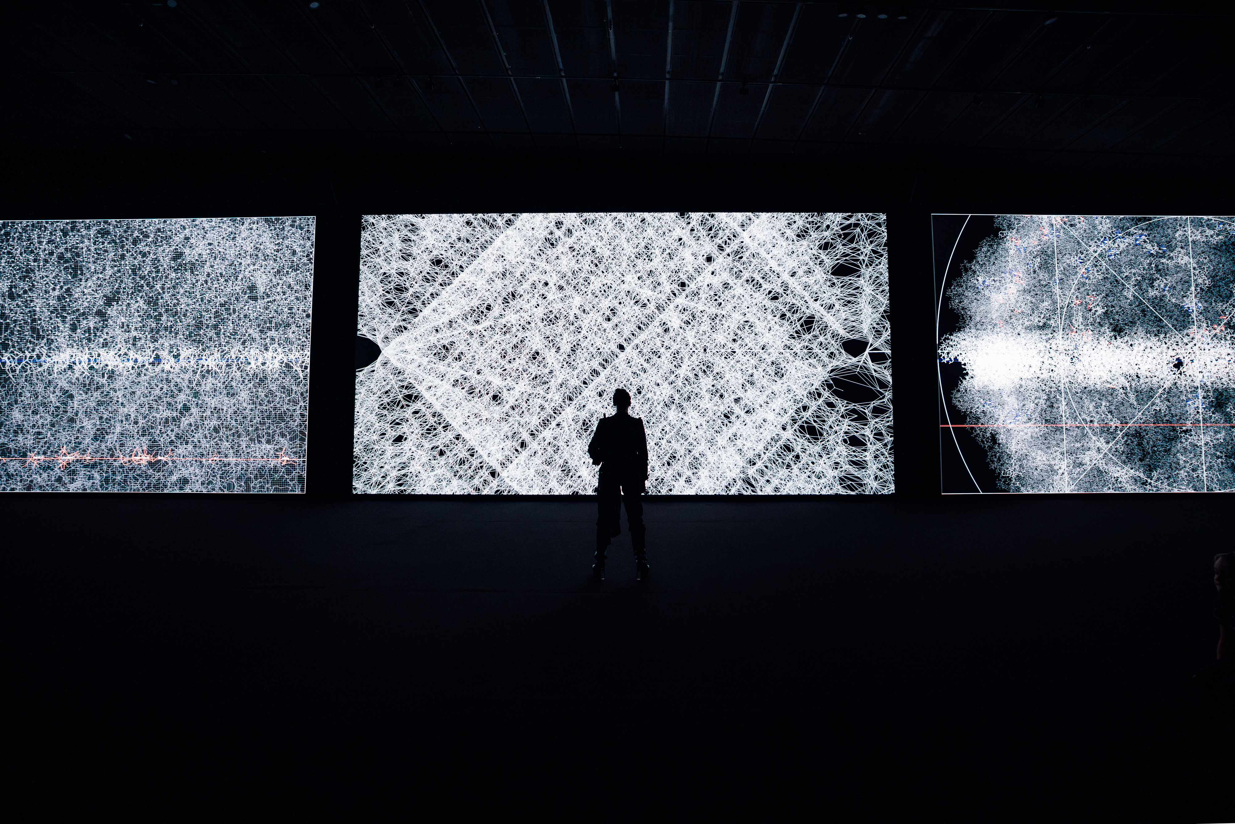 Ryoji Ikeda “data verse”