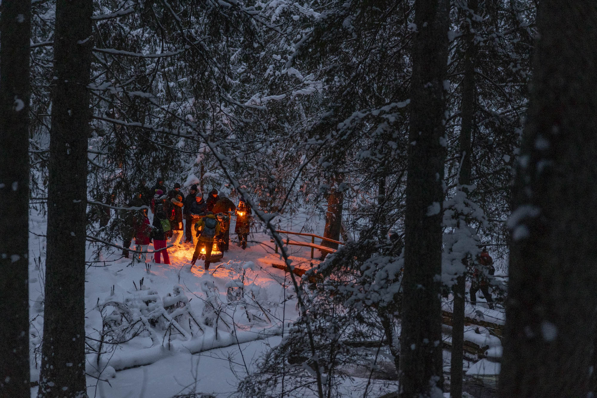 Loodus- ja pärismusmatk Viru raba lähistel talvel