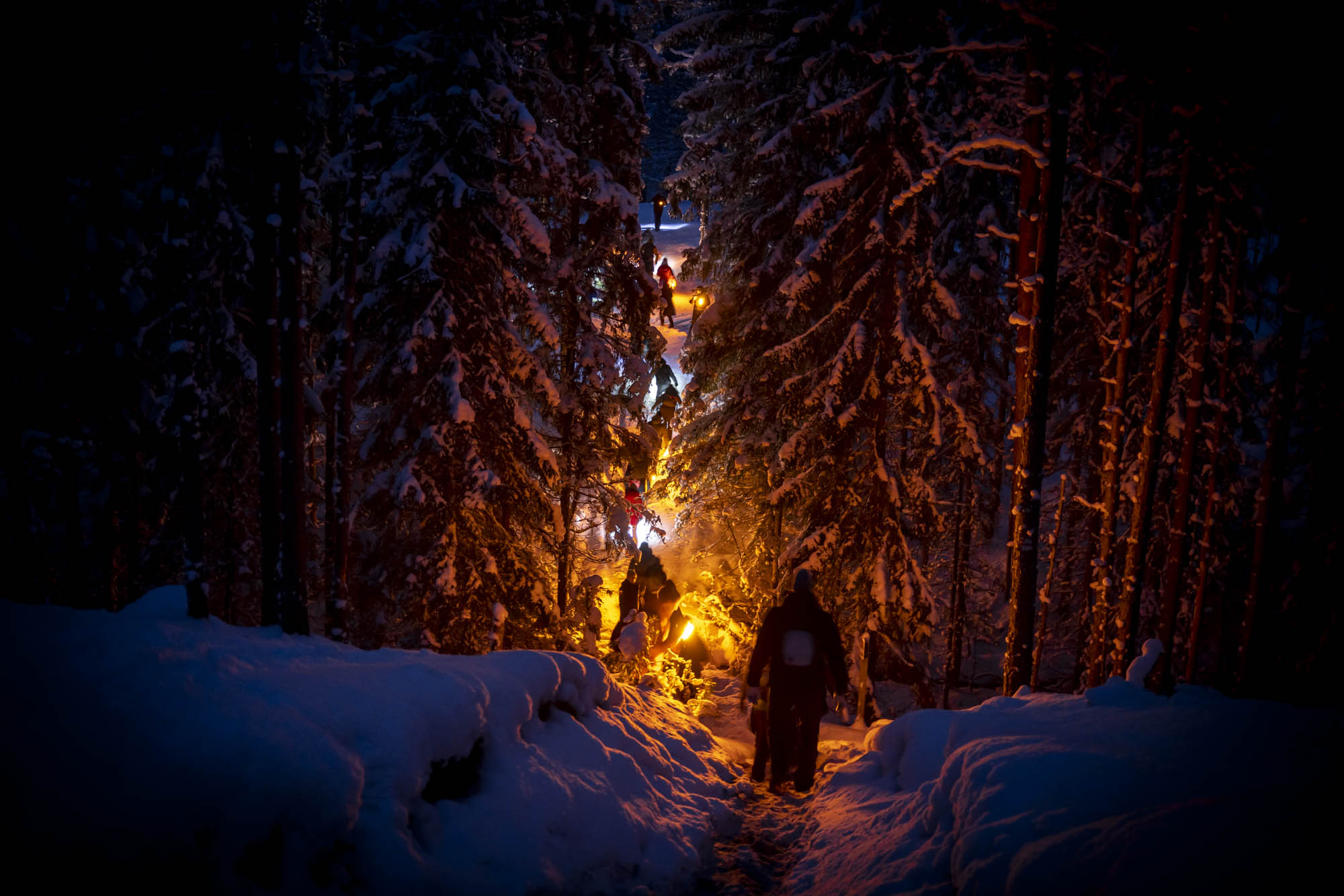 Loodus- ja pärismusmatk Viru raba lähistel talvepimeduses