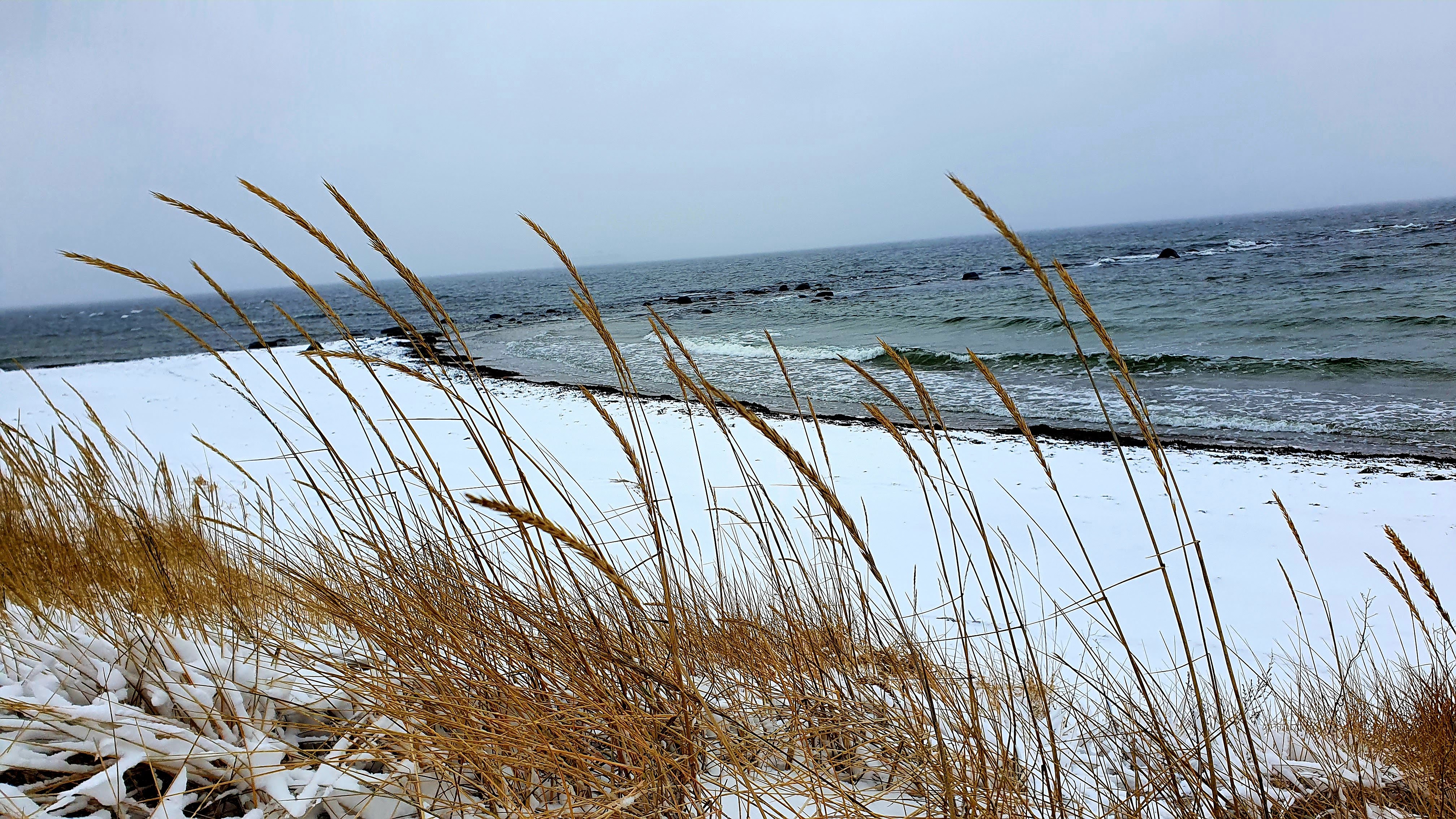 Winter Beach