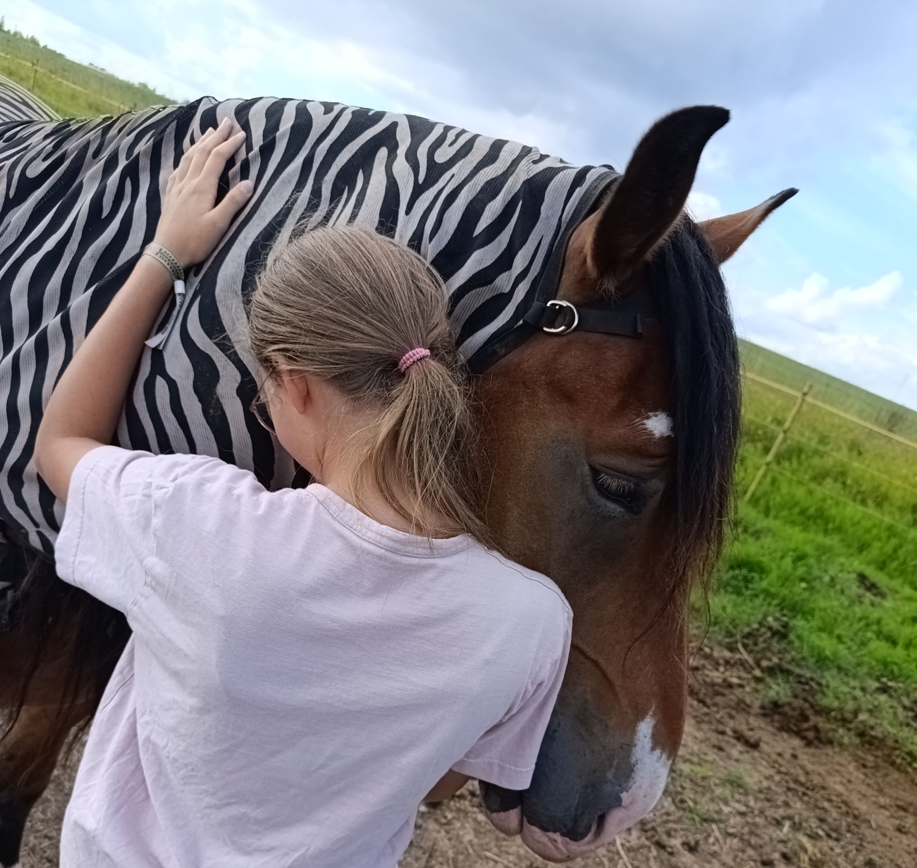 Hobitalu "Talu ja loomad" raskeveoline Viking